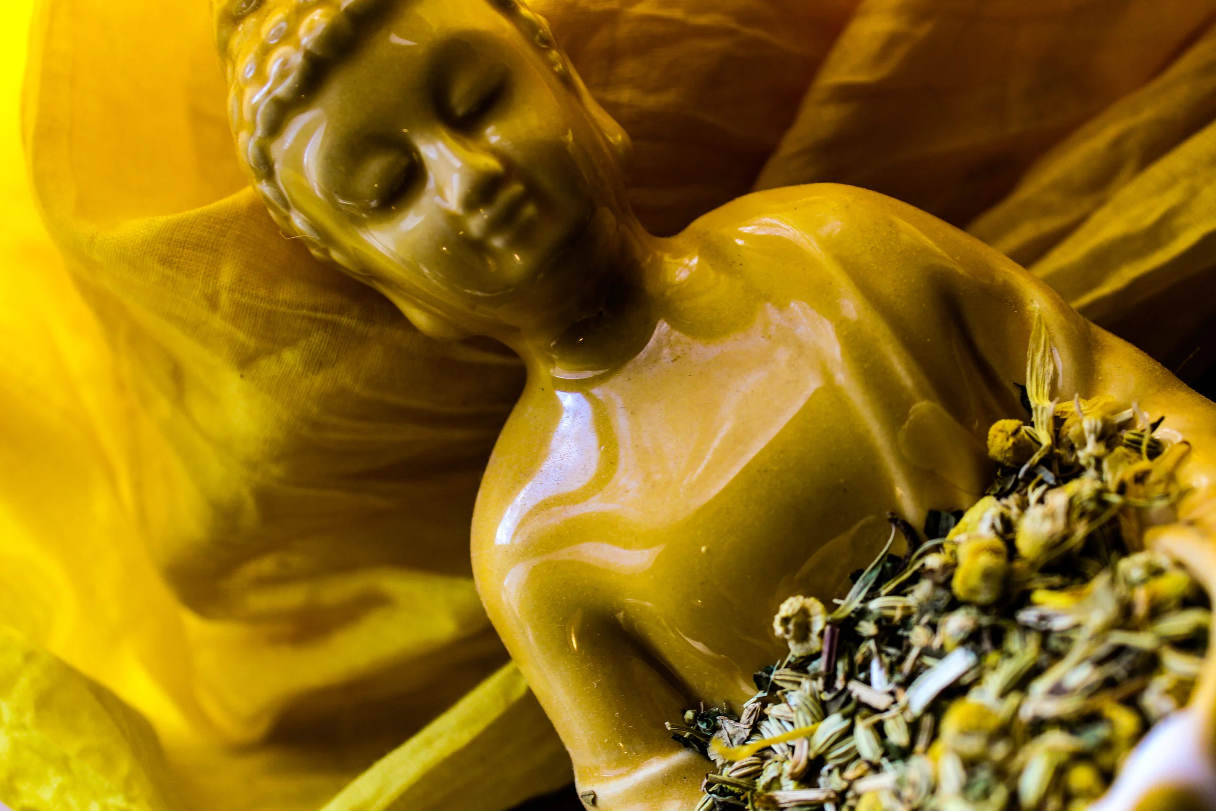 happy hara buddha closeup.jpg