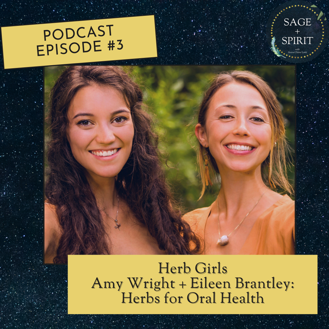  Amy Wright and Eileen Brantley are the masterminds, medicine makers, and educational powerhouse duo behind the Athens, Georgia based herbal business known as  Herb Girls . These ladies are "lit with a passion" about many important issues when it com