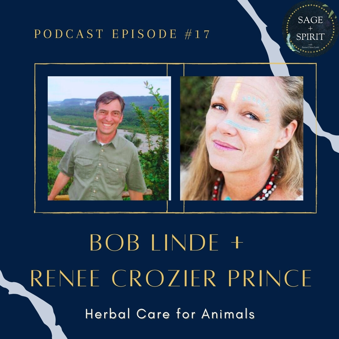  Bob Linde and Renee Crozier Prince are the founders and main instructors of the Traditions School of Herbal Studies in St. Petersburg, Florida. Bob Linde is an Acupuncture Physician and Registered Herbalist with an MS in Oriental Medicine and BS in 