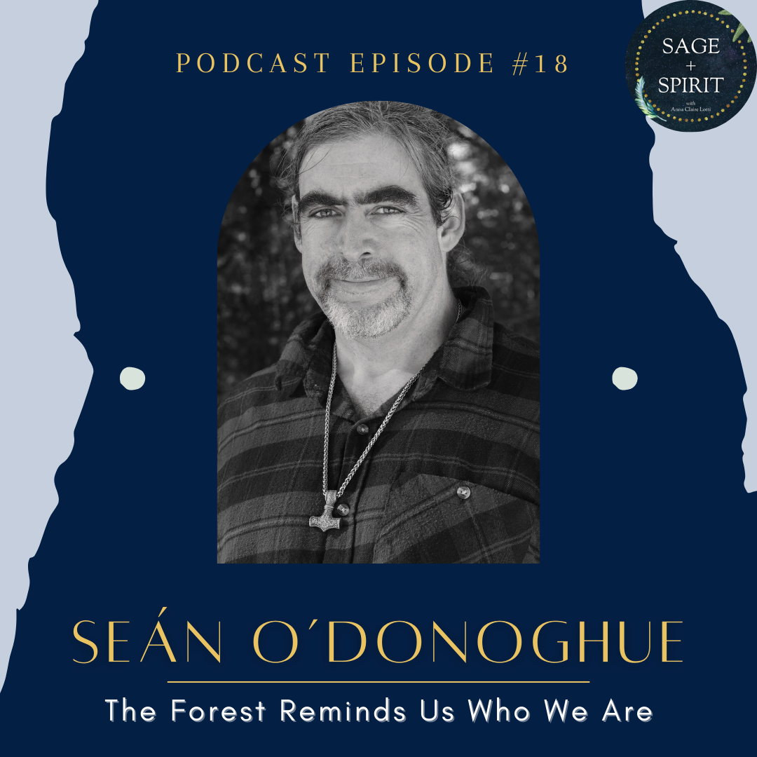   Seán Pádraig O’Donoghue  is&nbsp;an herbalist, writer, and teacher, and an initiated Priest in two traditions. He lives in the mountains of western Maine. Seán’s approach to healing weaves together the insights of traditional western herbalism and 