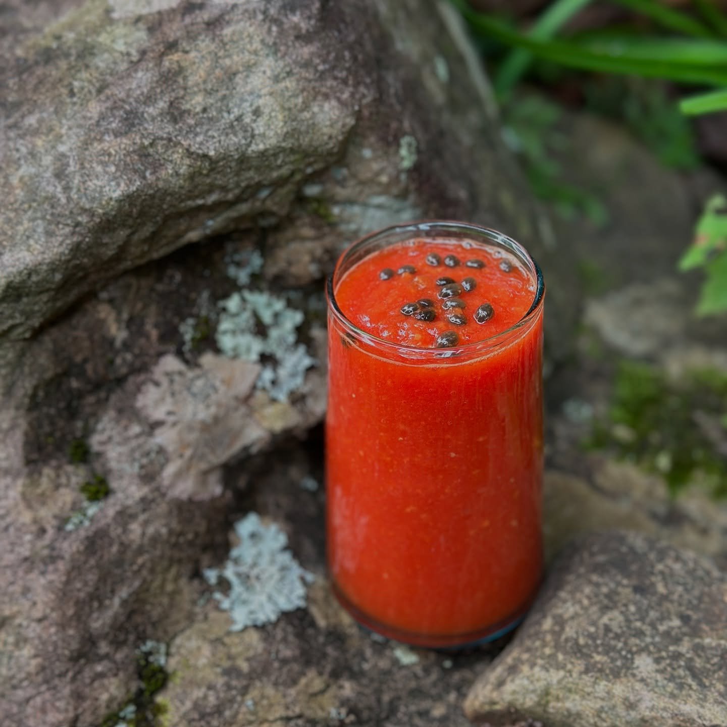 One of my favorite simple pleasures from my past visits to Costa Rica: this simple, yet delicious, papaya smoothie. I love to make this refreshing bevvie whenever I want to bring a little pura vida into my day🤙🏼

You only need a few ingredients: fr