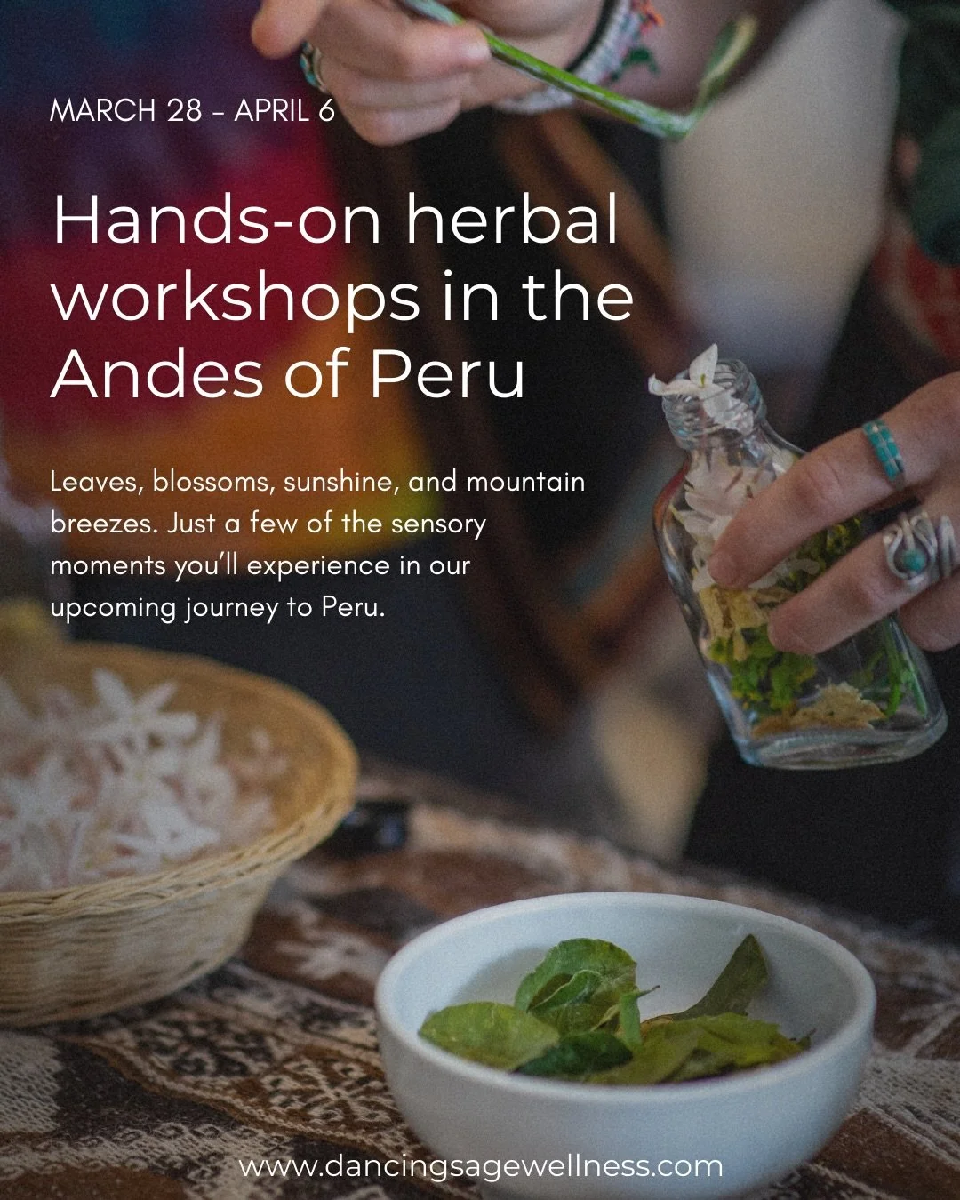 Imagine stepping into a sunlit gathering space in Ollantaytambo:

Mountains glowing outside the windows.
A gentle breeze carrying the scent of eucalyptus trees and fresh mountain air.

Your hands touch leaves + blossoms freshly harvested from the sur