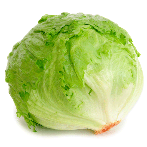 AHeadofLettuce-Visibility.gif