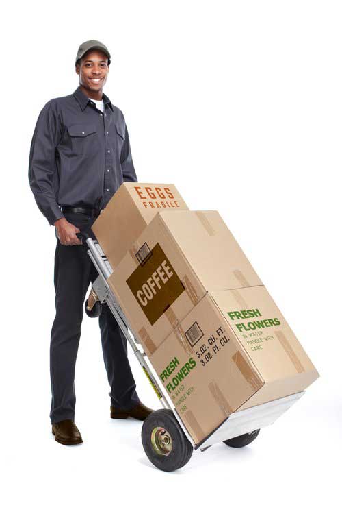 Delivery+Driver+Foodservice+Direct+Store+Delivery+DSD+Proof+of+Delivery.jpg
