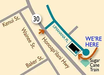 991 Limahana Place Suite 4H Lahaina, Maui, Hawaii 9676