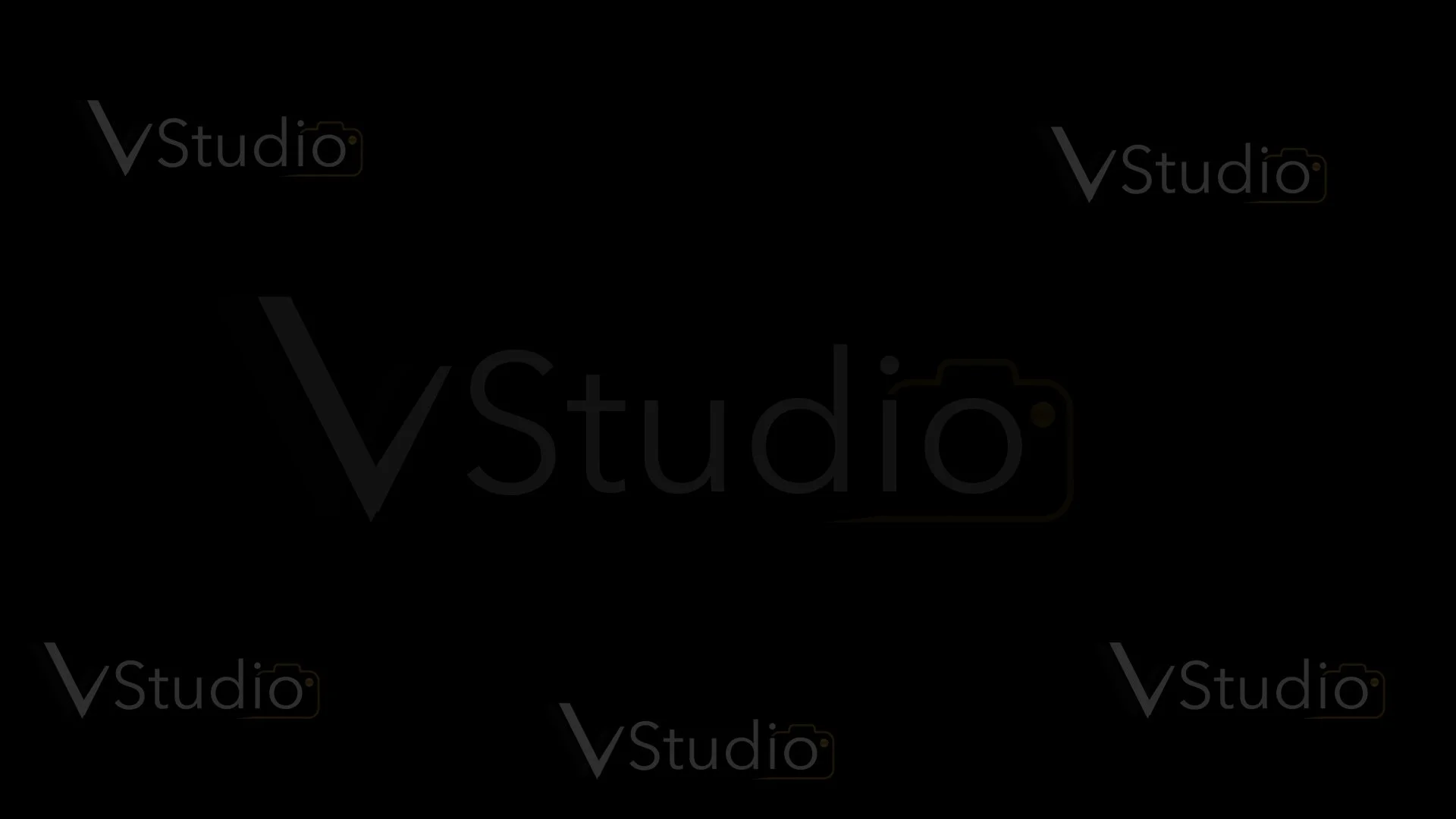 V STUDO LPGO copy.jpg