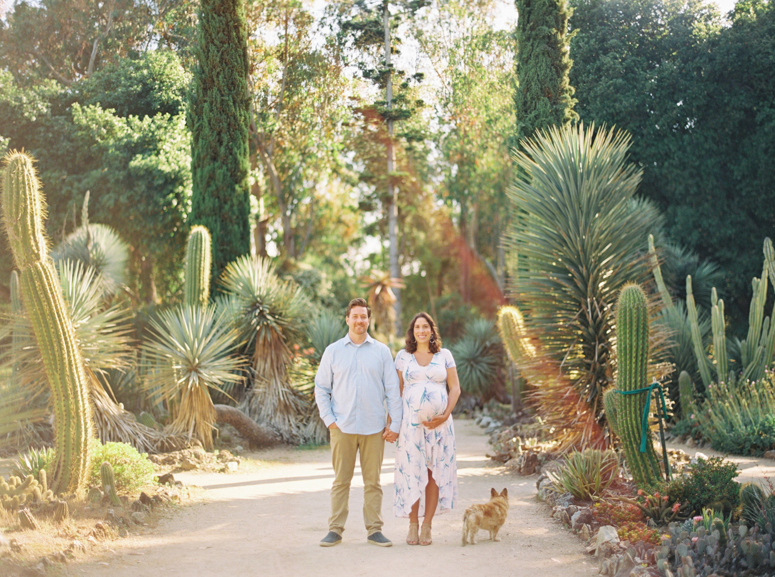 Arizona cactus garden maternity photographer — Blog — Sarahi Hadden