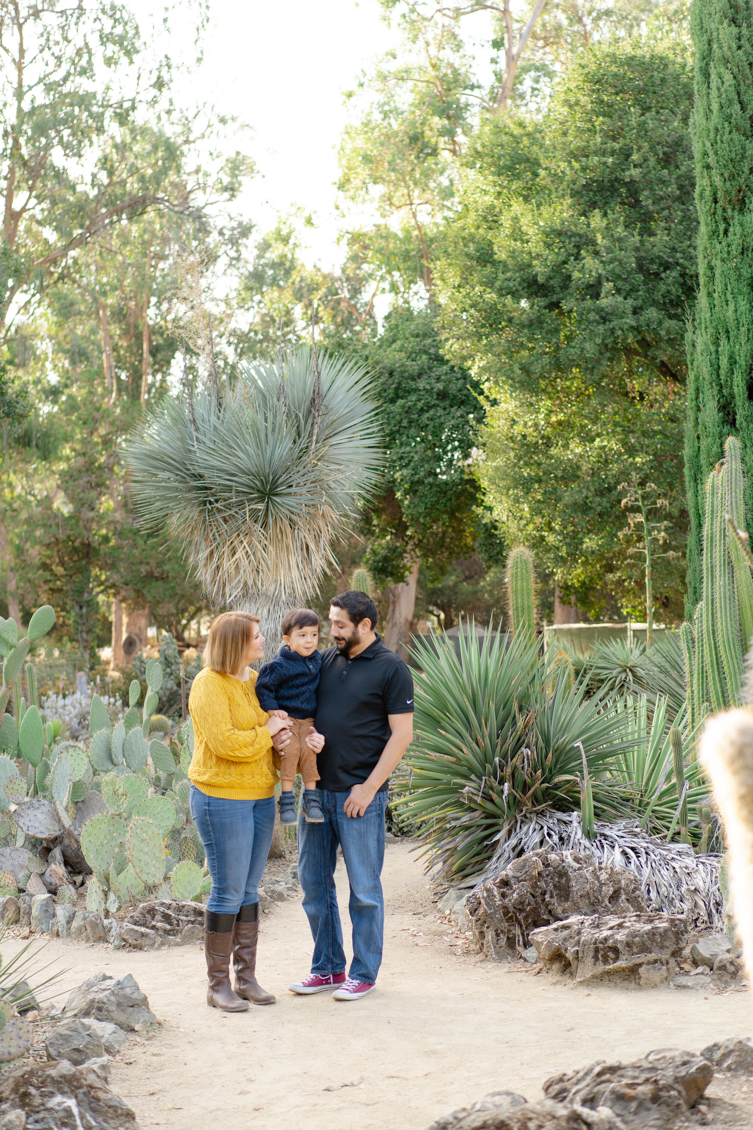 Bay Area Fall Mini Session - Phelps Family-64.jpg