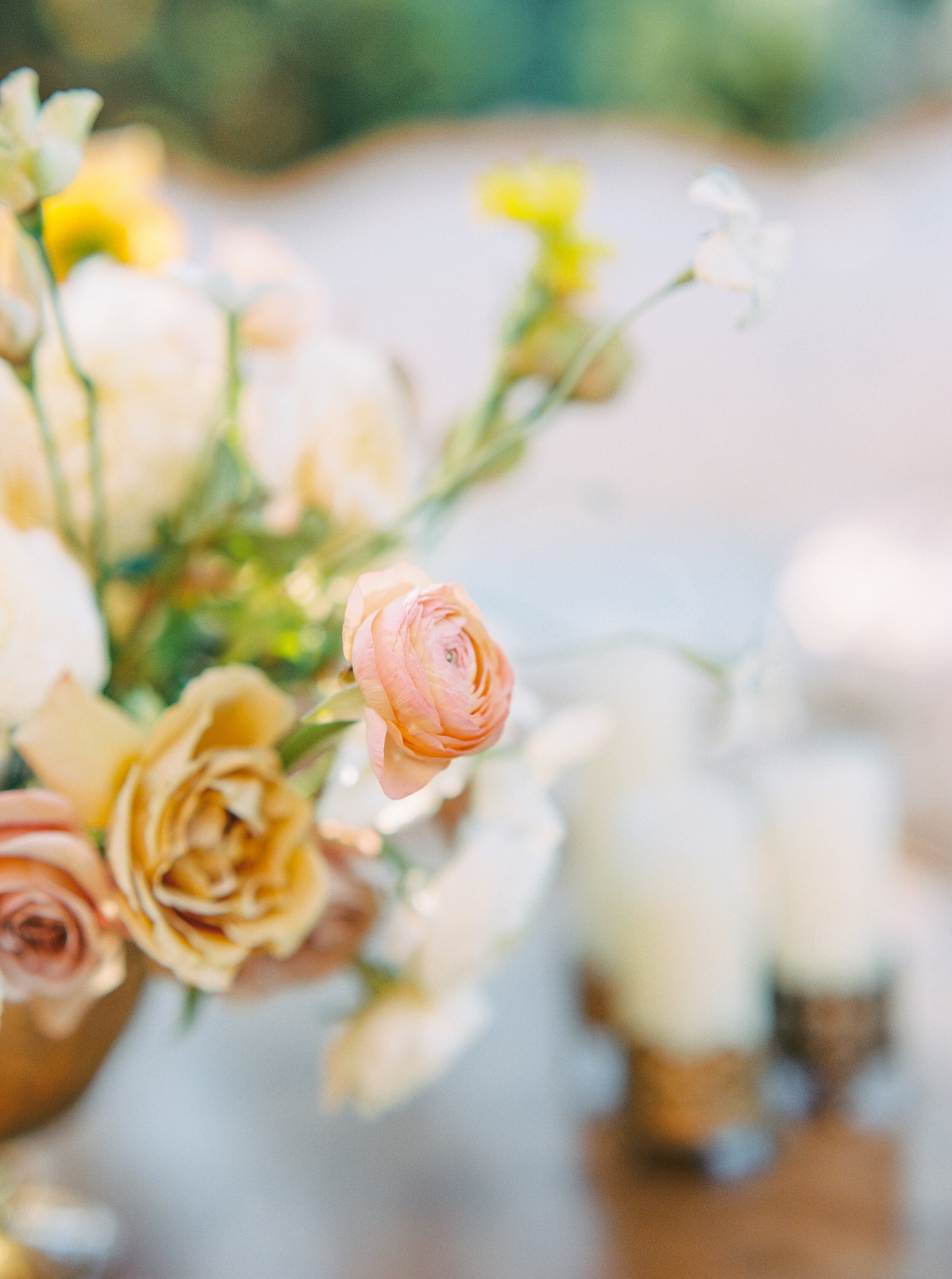 Tuscan Romance Wedding Editorial At Filoli Gardens-354.jpg