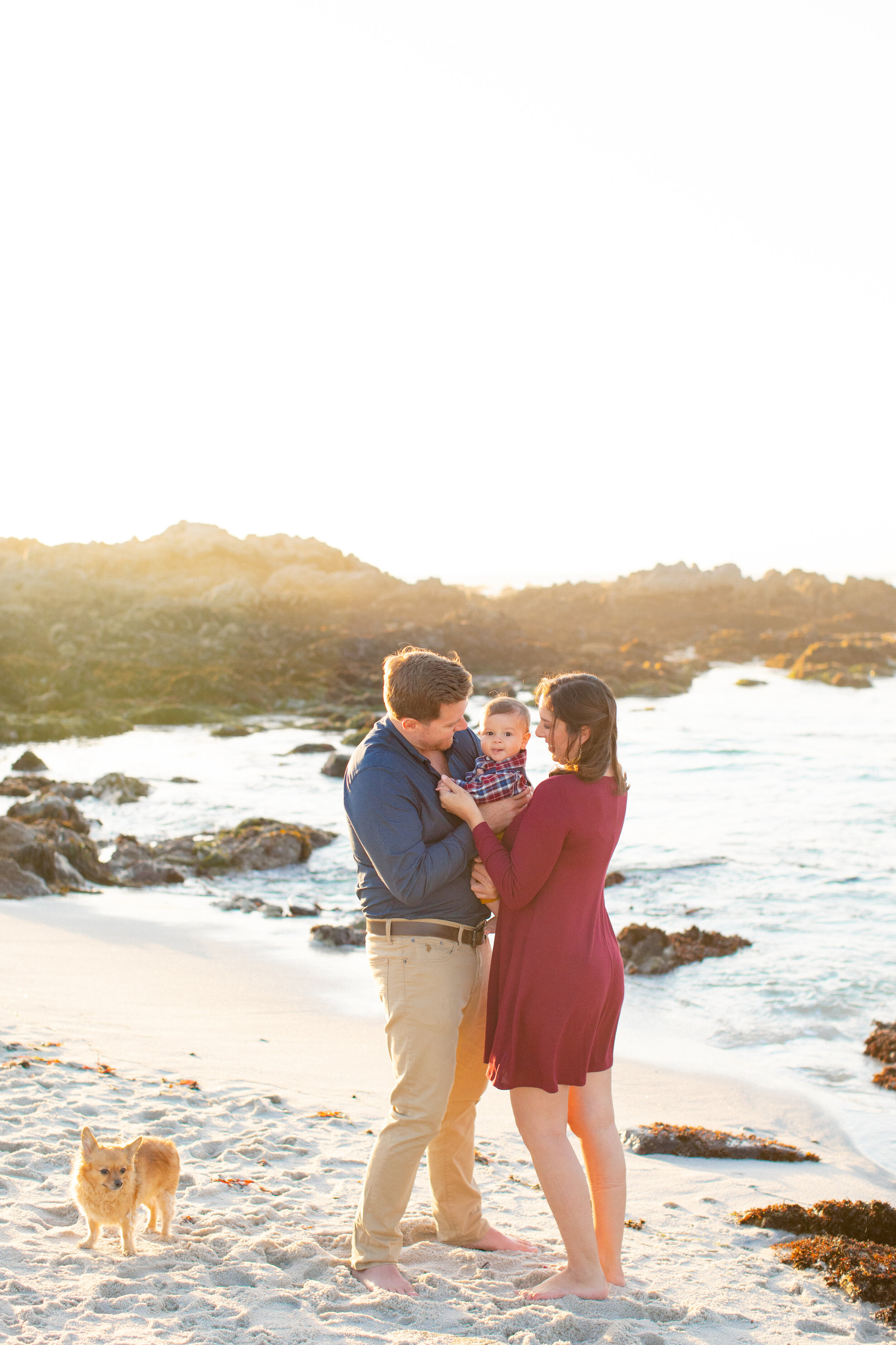 Bay Area Fall Mini Session - Dudley Family-43.jpg