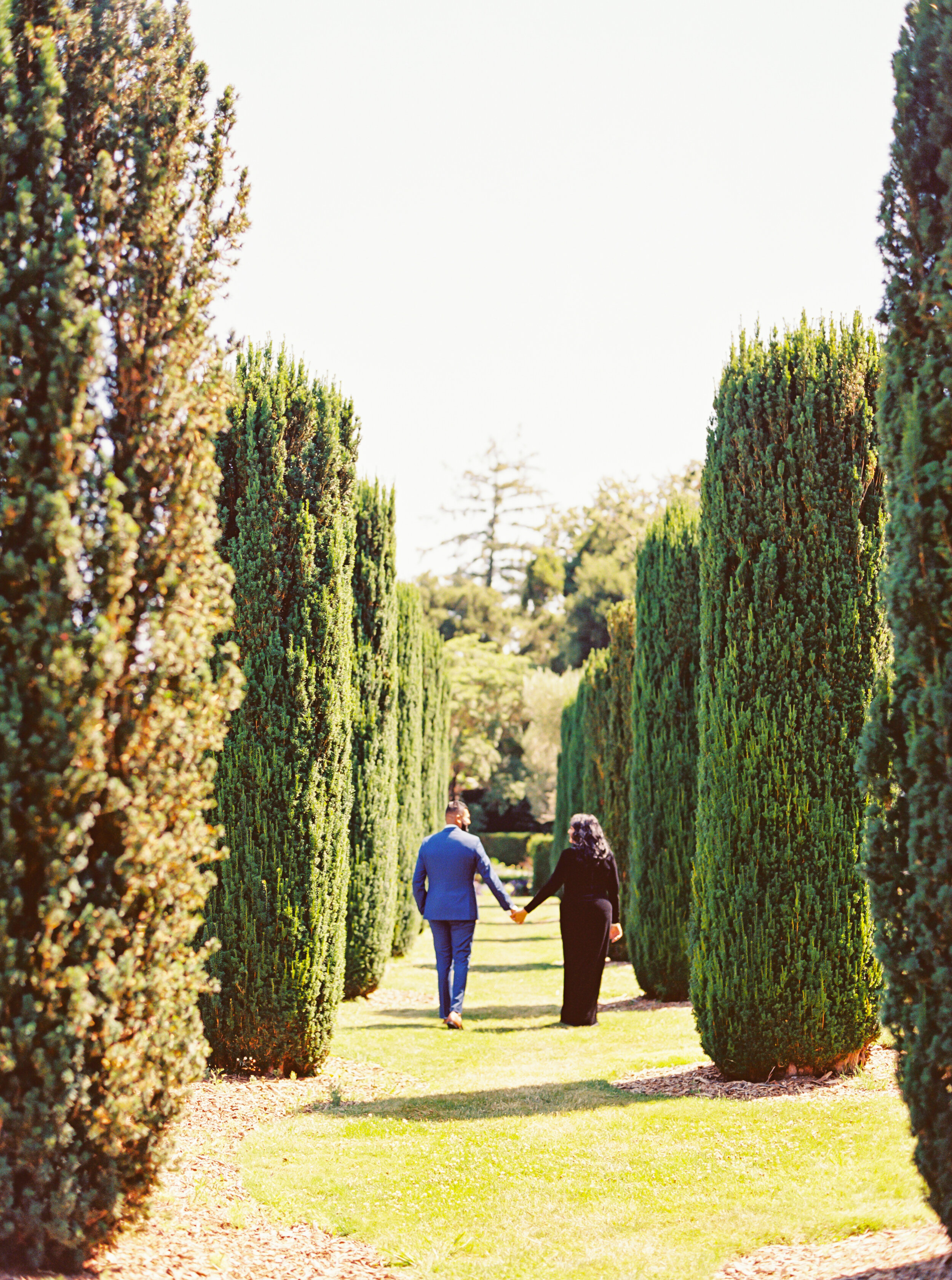 Filoli Gardens Surprise Proposal - Sarahi Hadden Photography-30.jpg