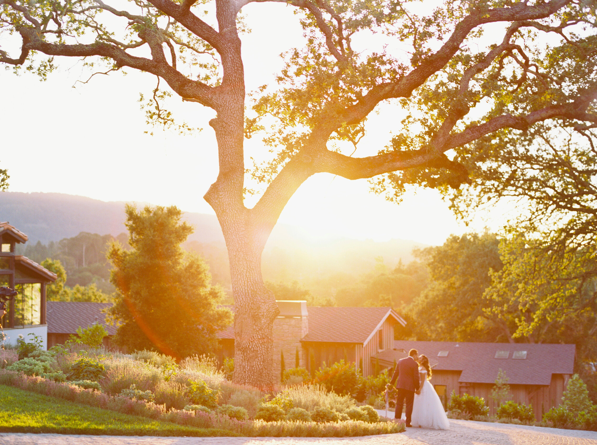 Private Estate Micro Wedding During Covid-19  - Sarahi Hadden Photography-60.jpg