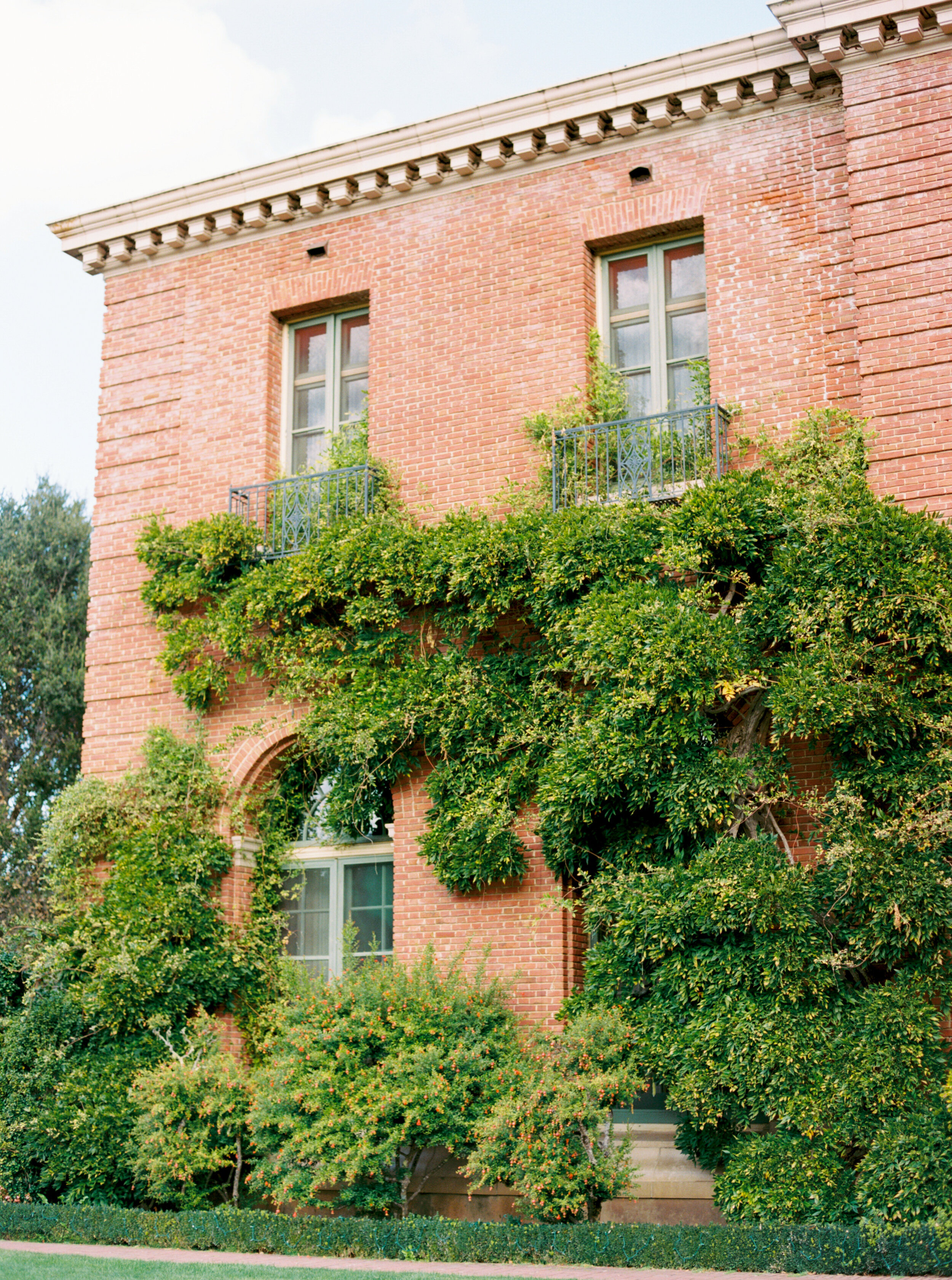 Filoli Gardens Engagement Session - Dominique & Marco-28.jpg