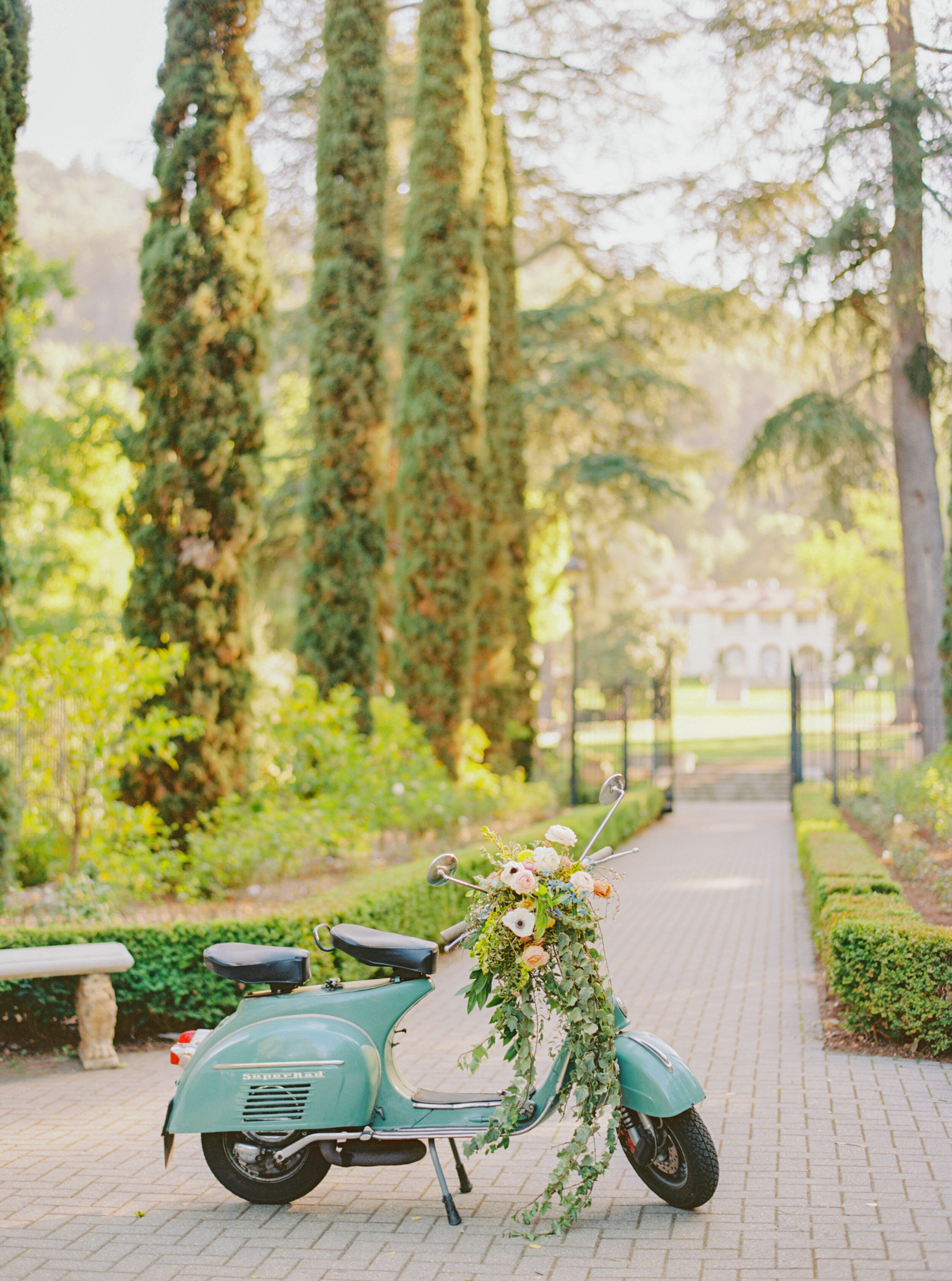 Villa Montalvo Wedding - Sarahi Hadden Photography-89.jpg