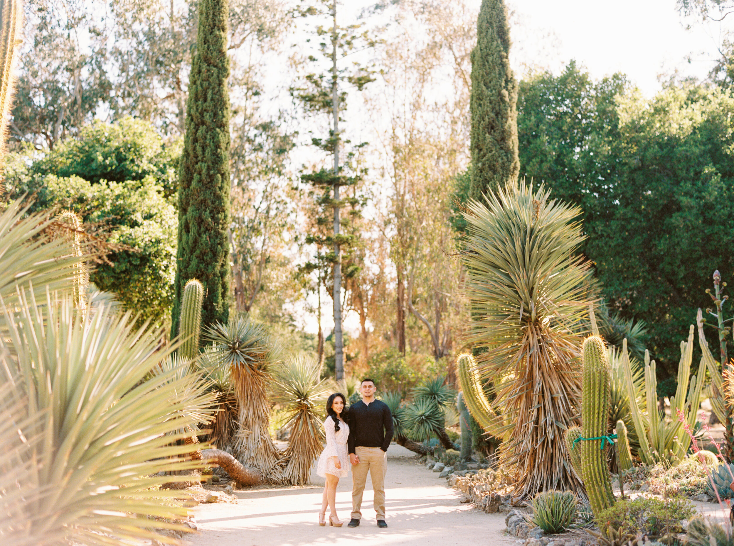 Bay Area Engagement Photographer - Janel & Dominique-35.jpg