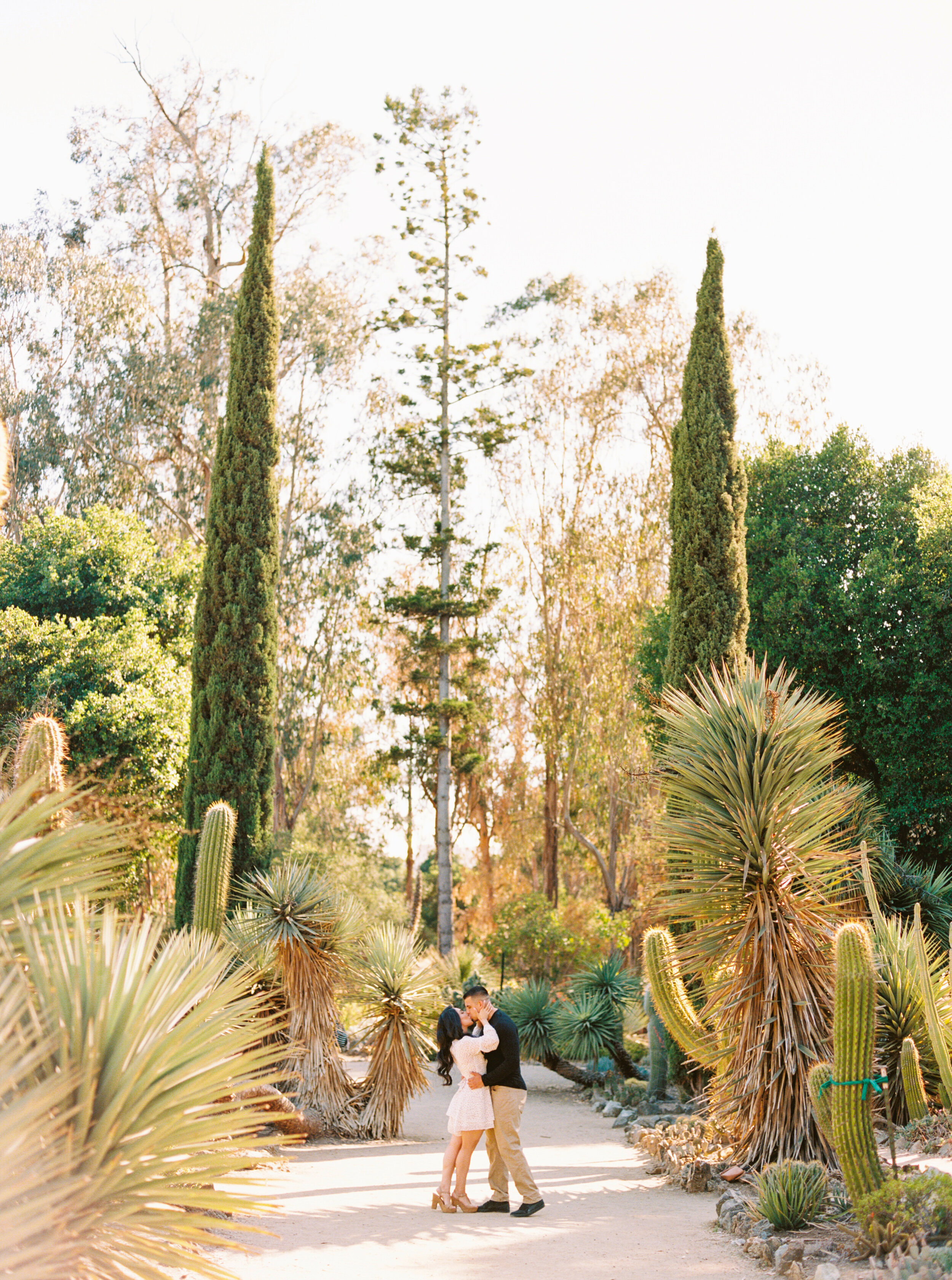 Bay Area Engagement Photographer - Janel & Dominique-71.jpg