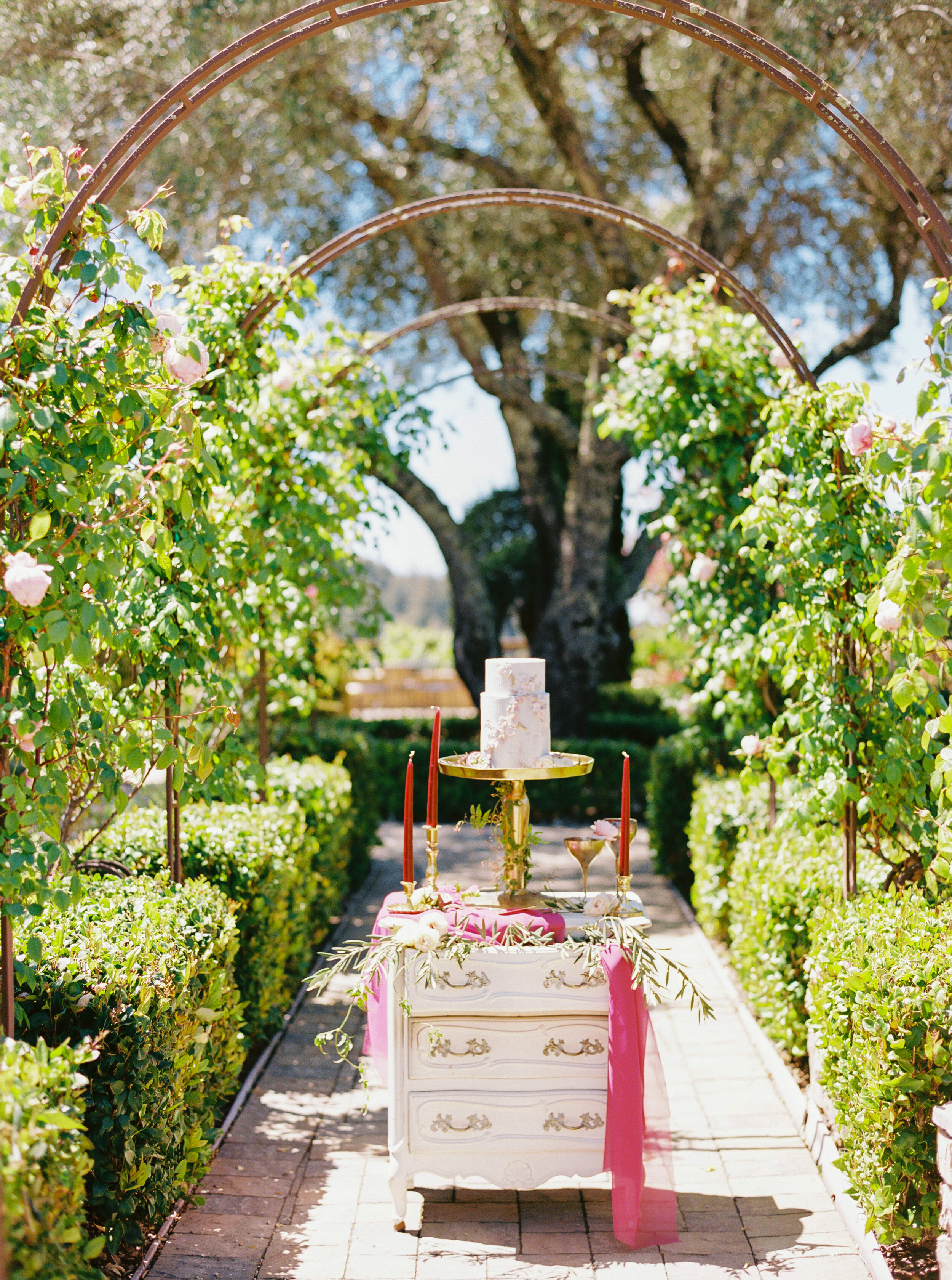 Regale Winery and Vineyards Wedding - Sarahi Hadden Photography-470.jpg