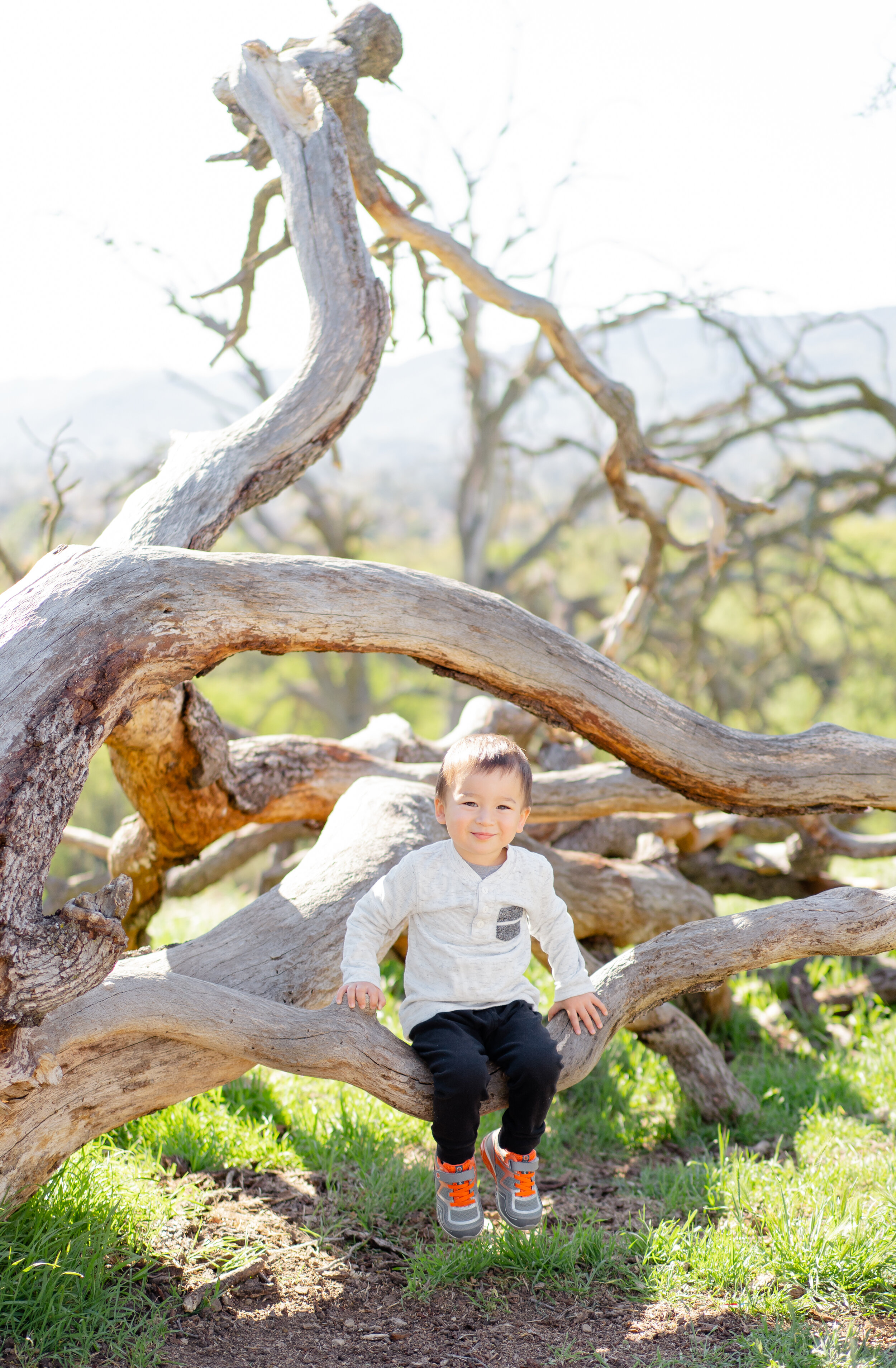 Bay Area Spring Mini Sessions - Stewart Family-101.jpg