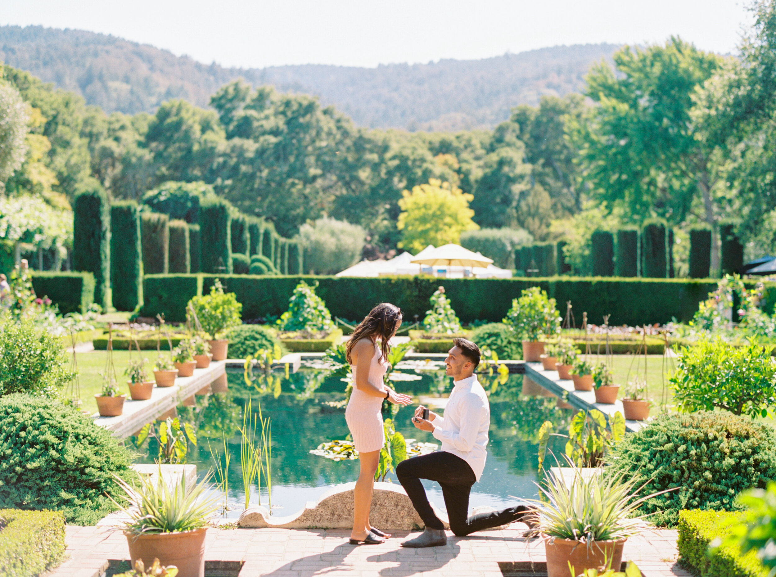 Filoli Surprise Proposal - Sarahi Hadden Photography-217.jpg