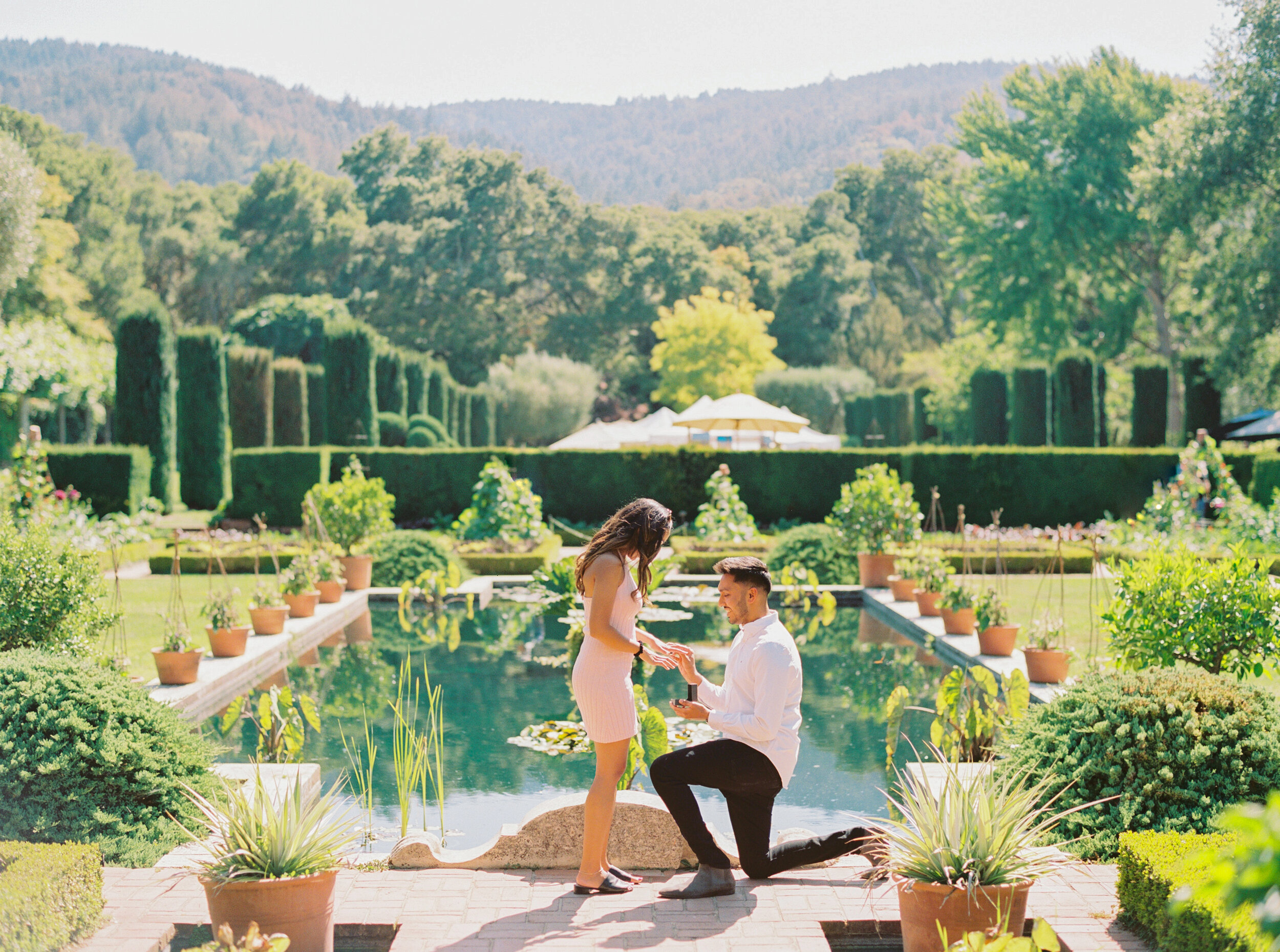 Filoli Surprise Proposal - Sarahi Hadden Photography-220.jpg