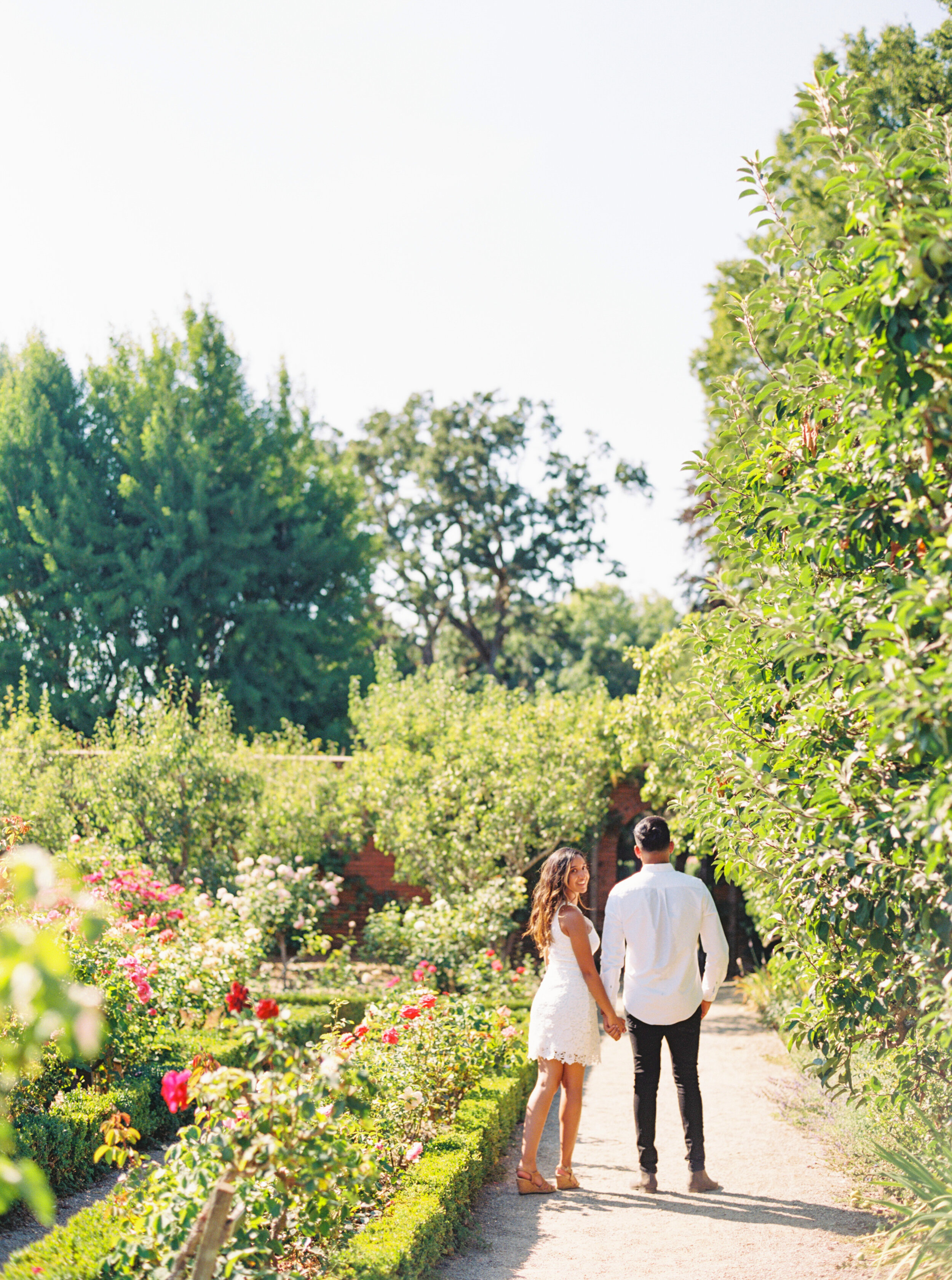 Filoli Surprise Proposal - Sarahi Hadden Photography-245.jpg