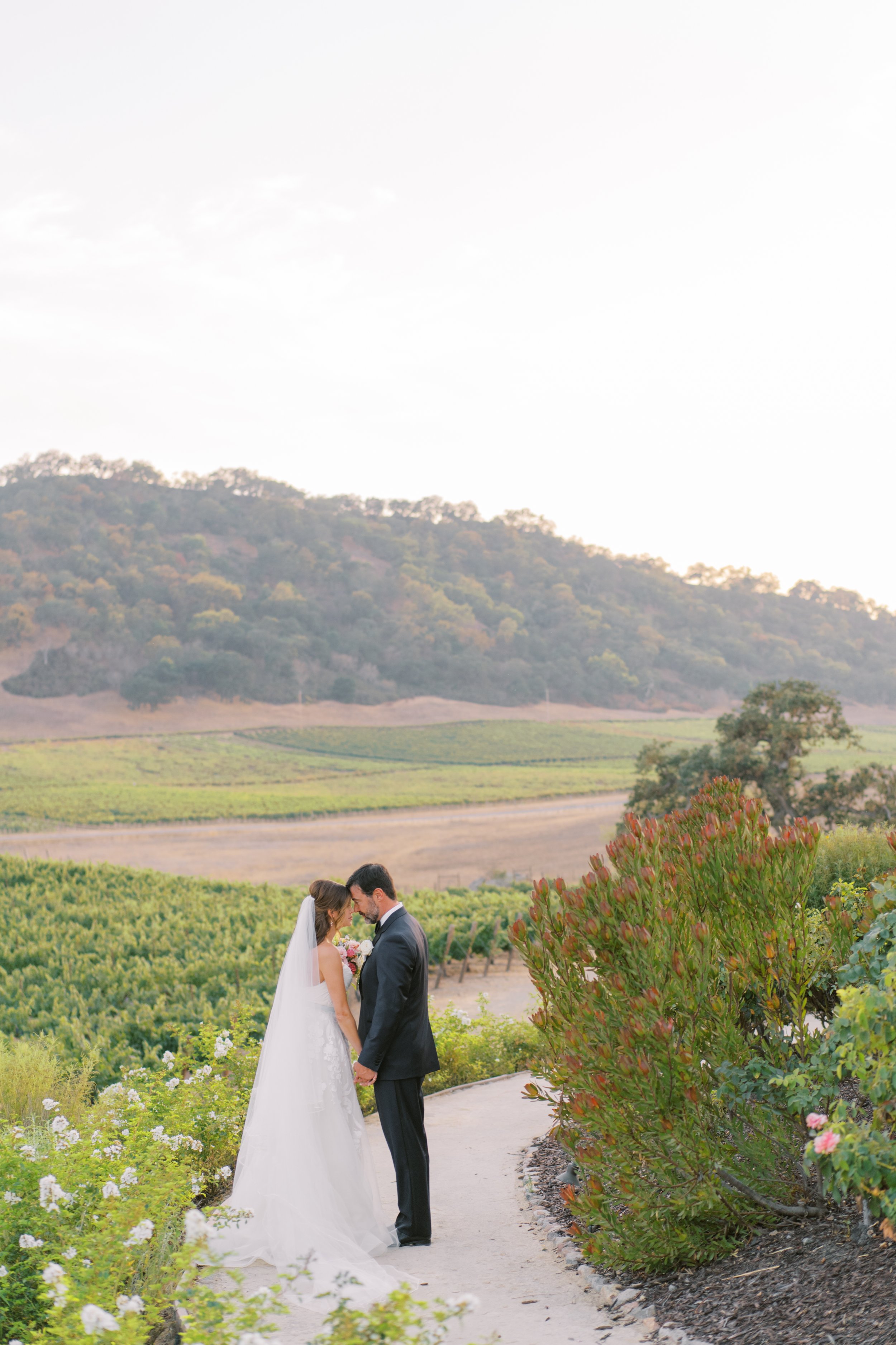 Clos LaChance Winery Wedding - Sarahi Hadden Photography-232.jpg