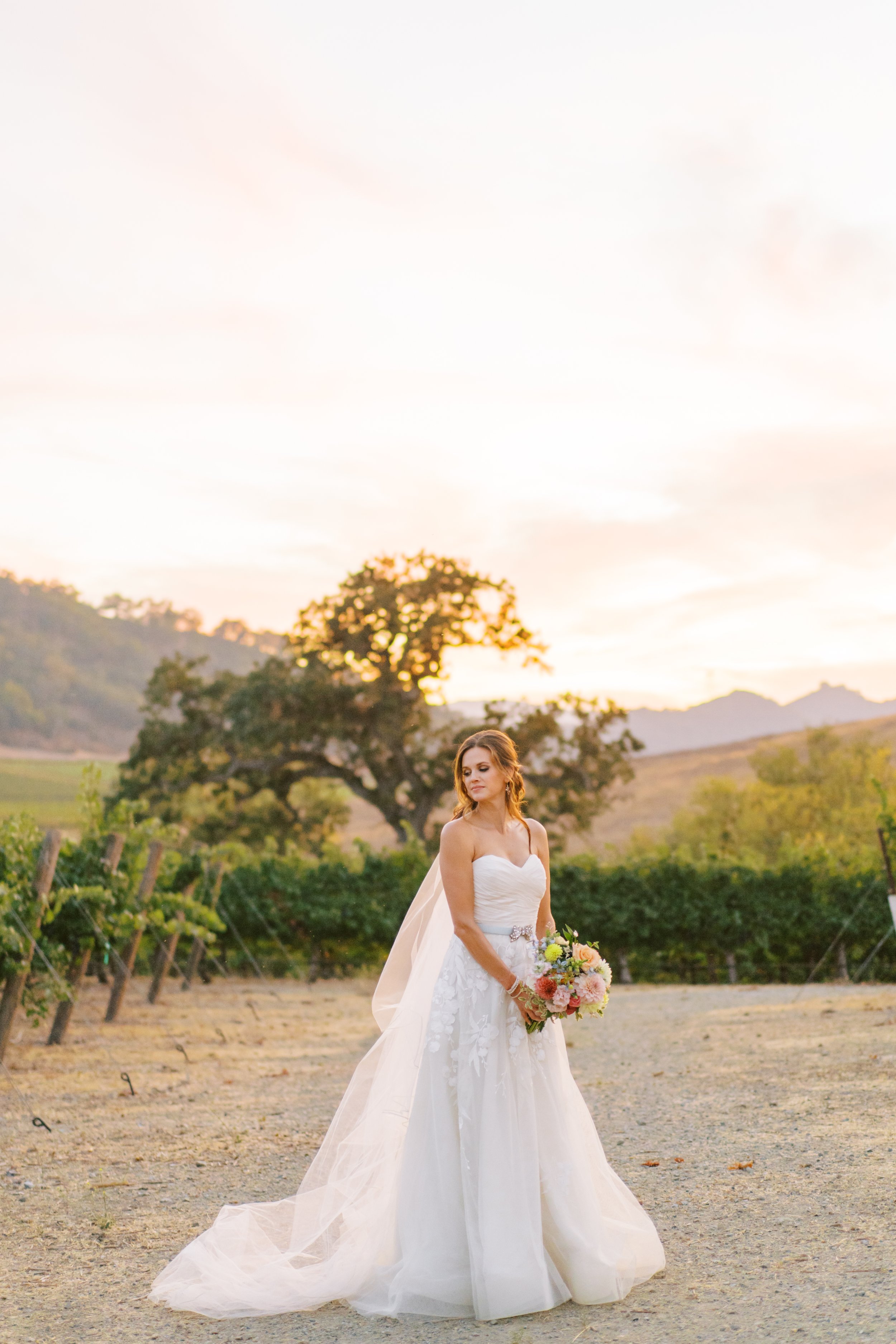 Clos LaChance Winery Wedding - Sarahi Hadden Photography-297.jpg