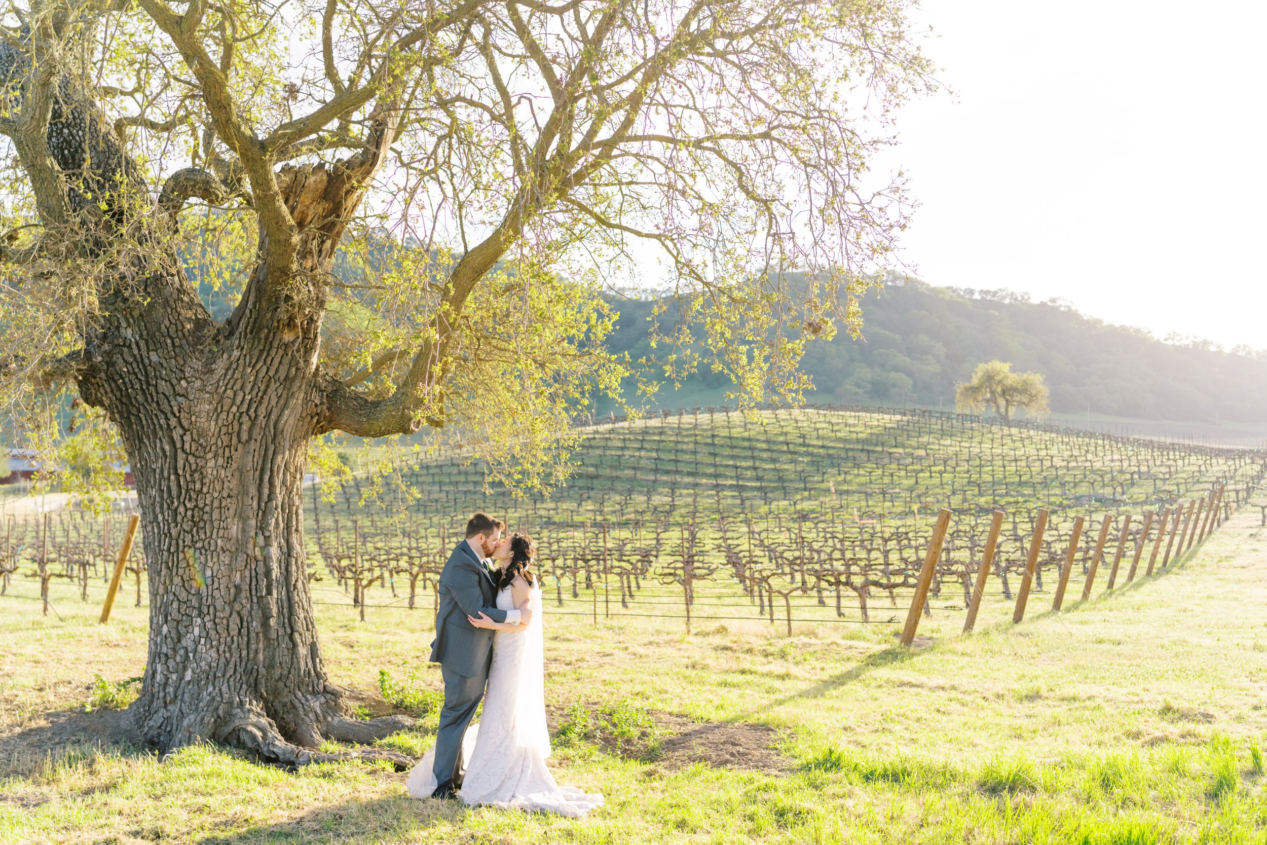 Clos LaChance Winery Wedding - Michelle & Andrew-1144.jpg