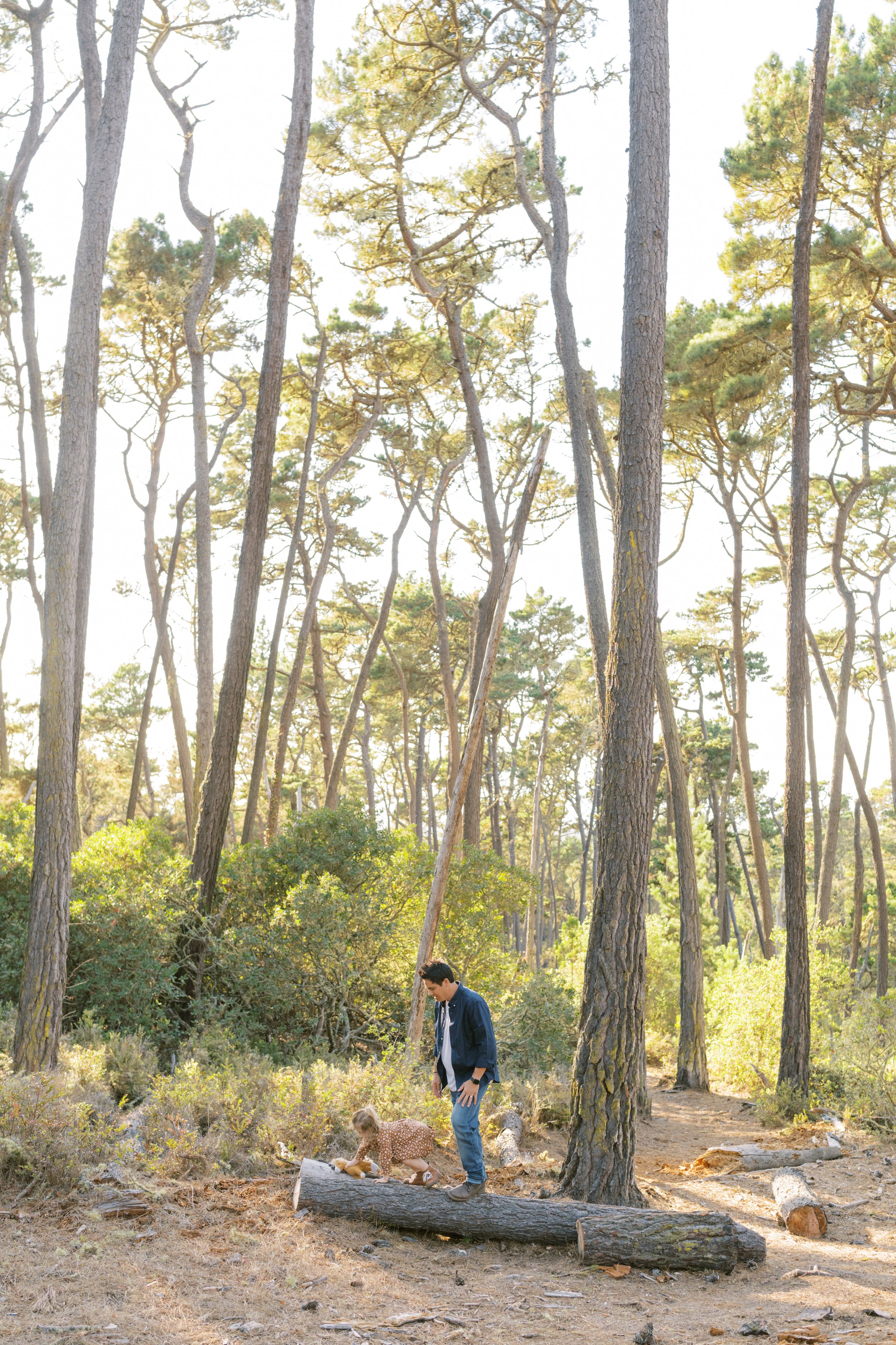 Bay Area Fall Mini Session - McKay Family-57.jpg