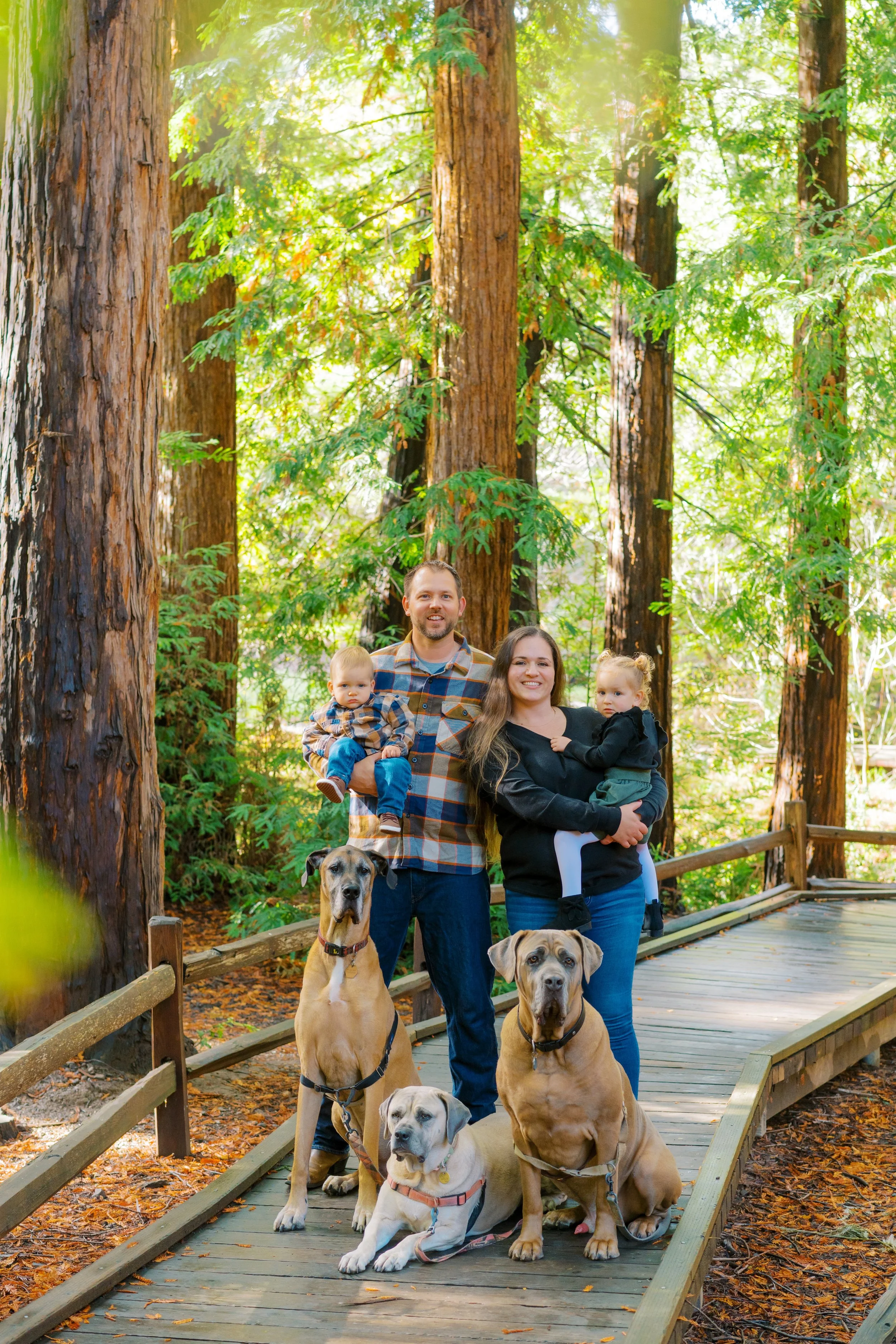 BayAreaFallMiniSessions2025-SarahiHaddenPhotography(89of190).JPG