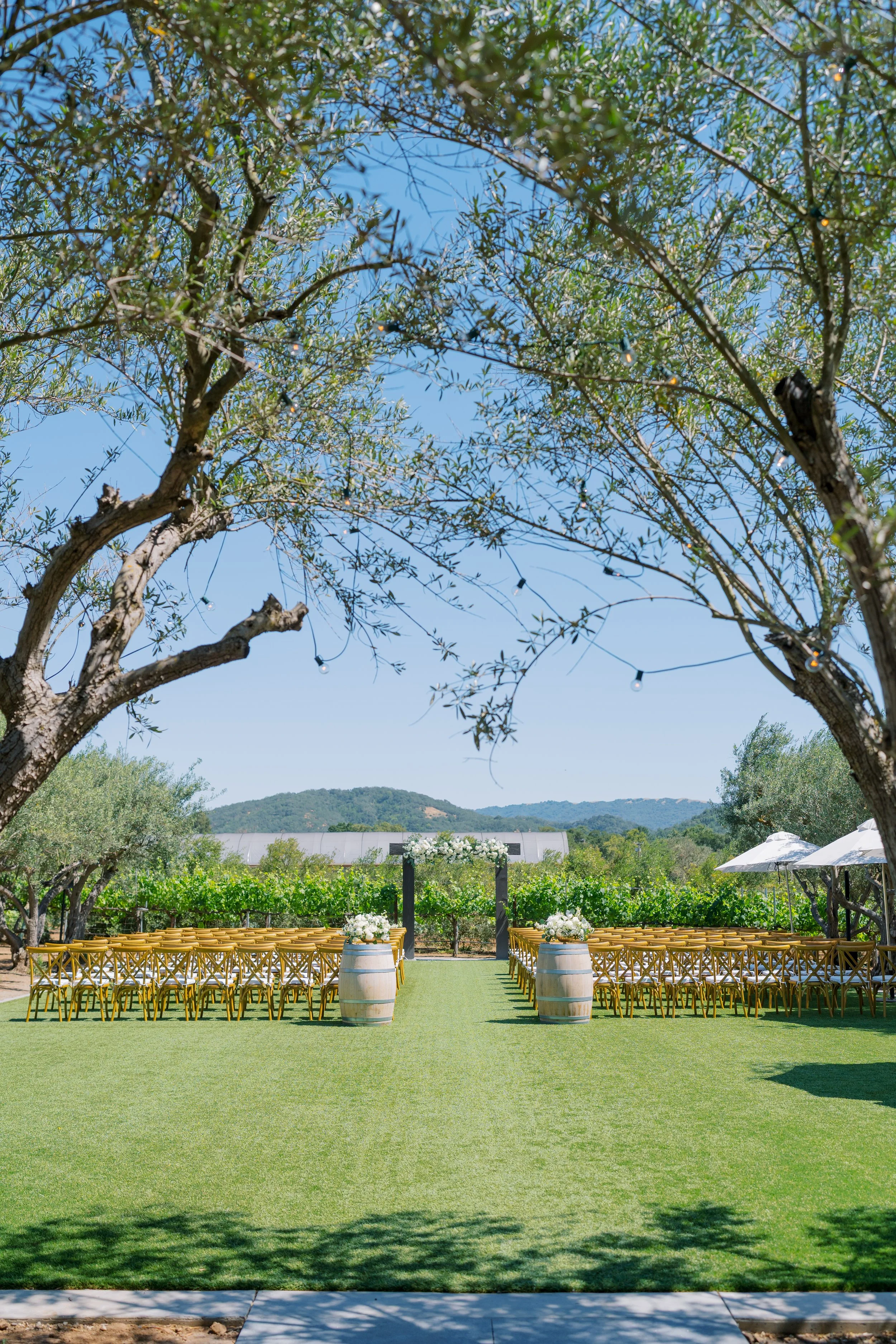 MOHI Ranch Wedding - Sarahi Hadden Photography (56 of 169).JPG