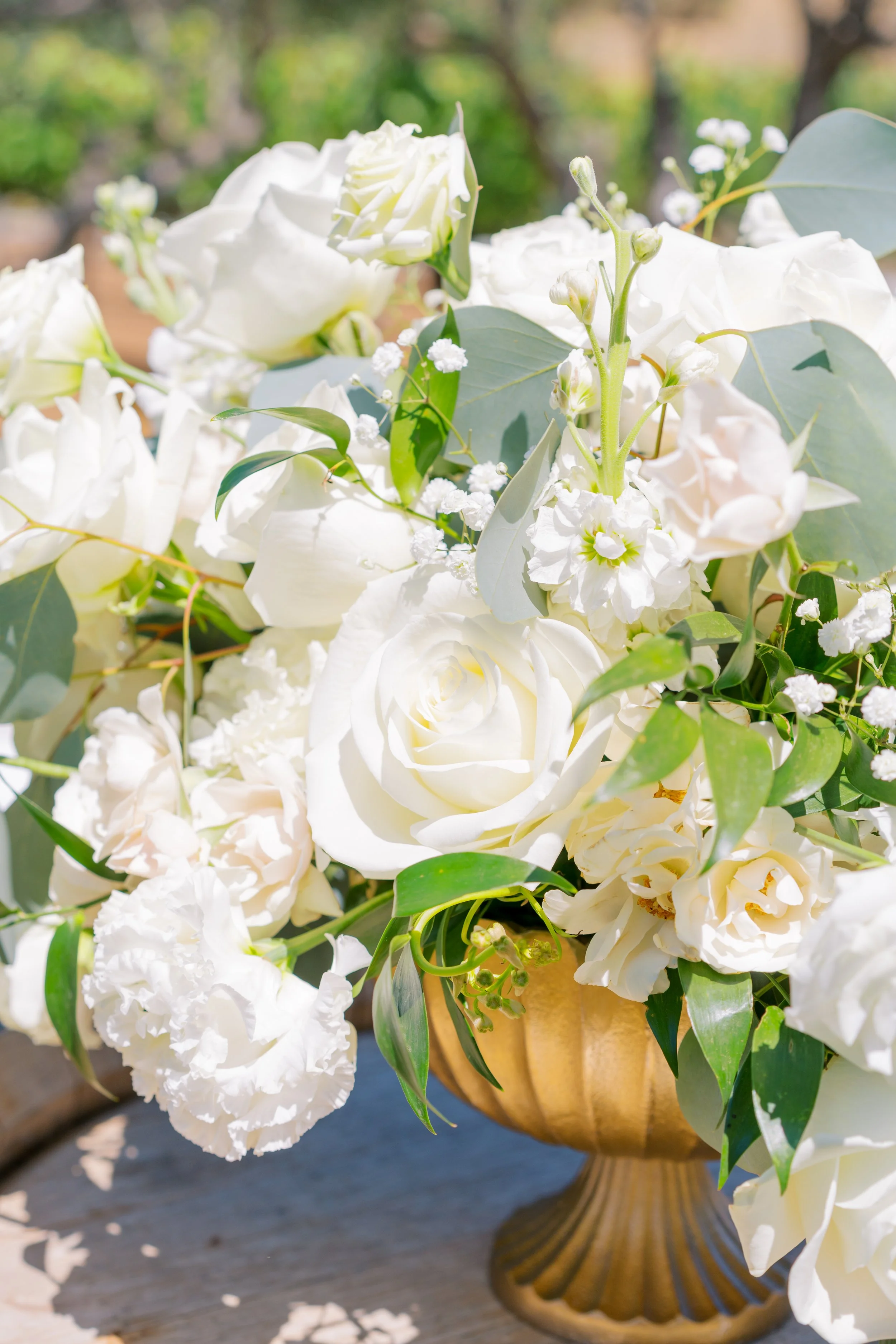 MOHI Ranch Wedding - Sarahi Hadden Photography (62 of 169).JPG