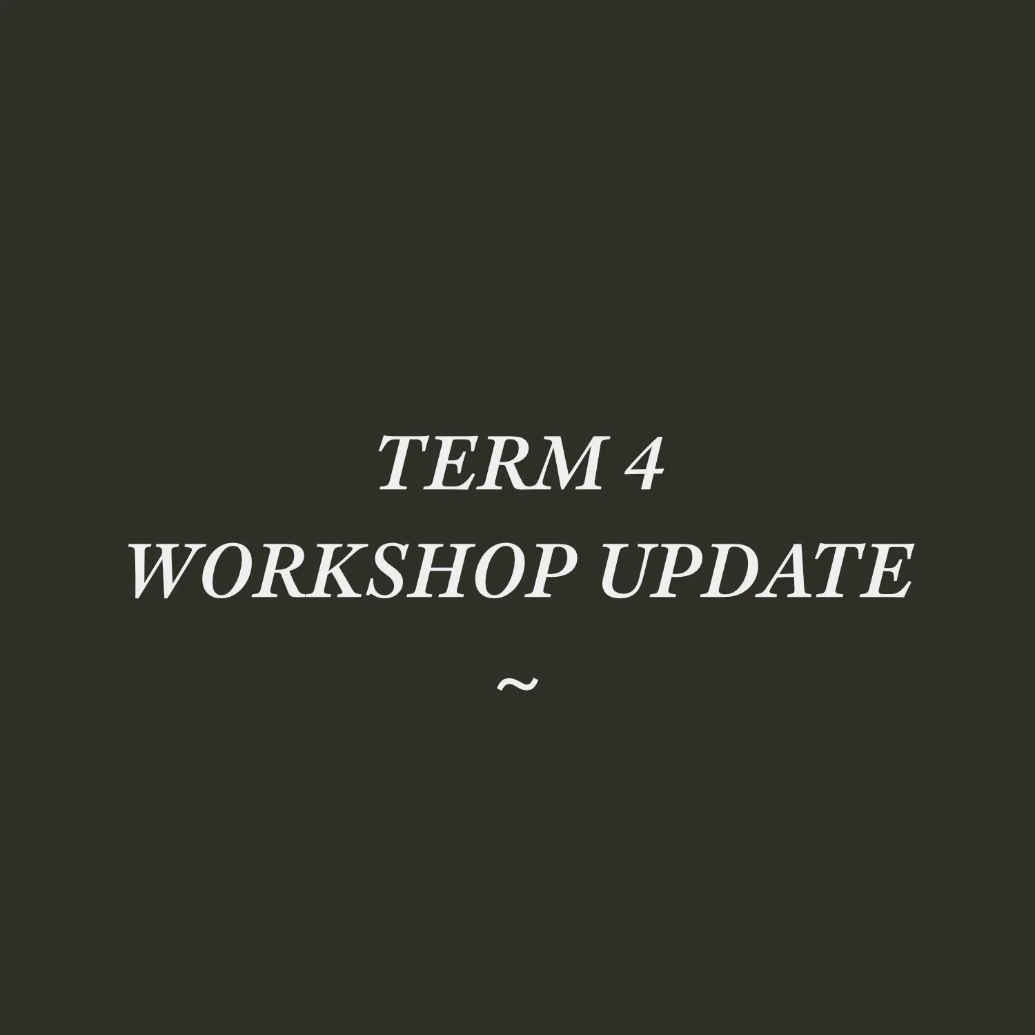 term_4_workshop_update.jpg