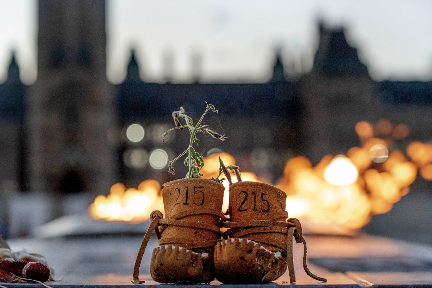 Screenshot 2025-09-04 at 11.00.49 AM.png