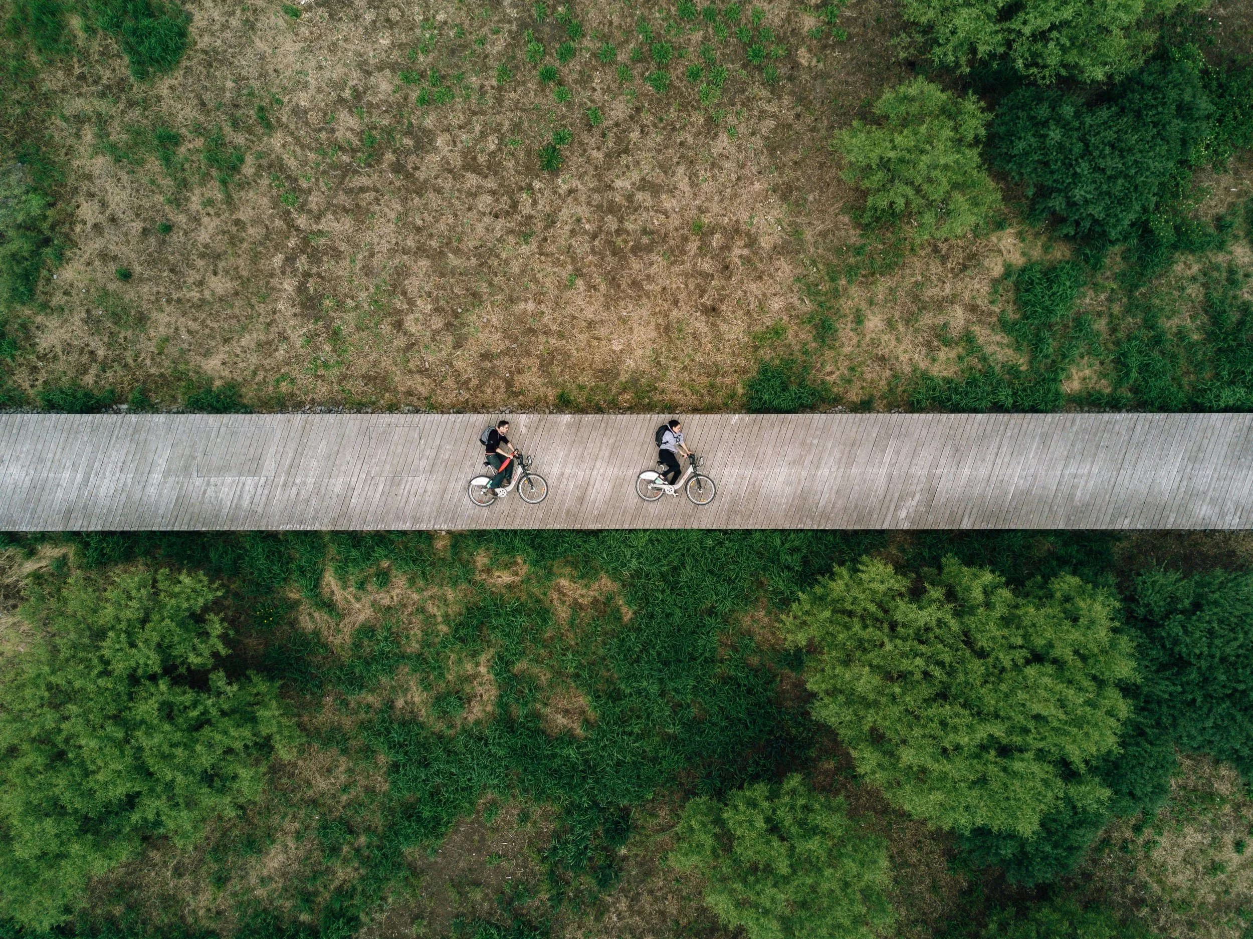 martin-reisch-265219-unsplash.jpg