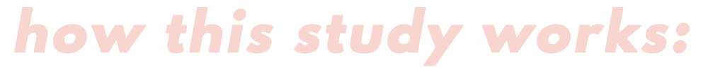 how does the study works.png