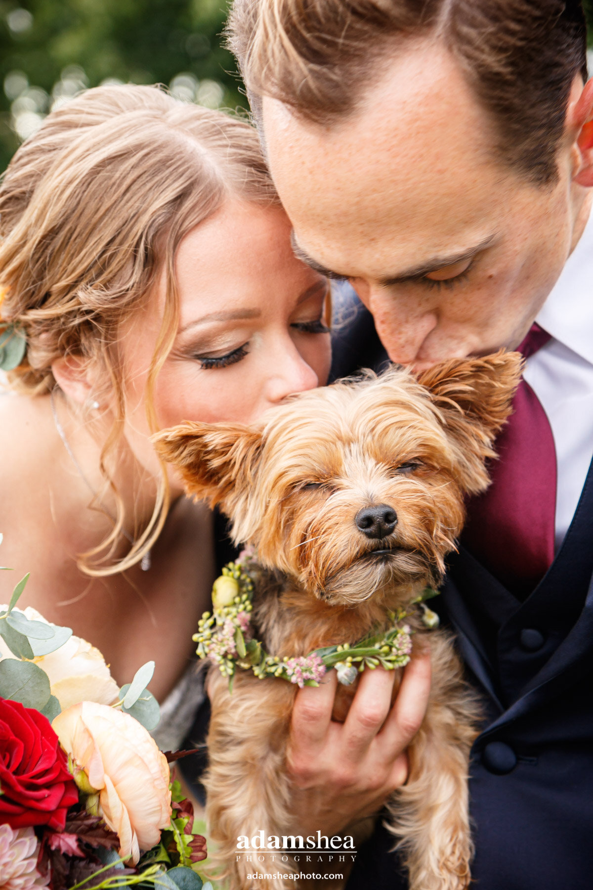 Gorgeous Wedding Fields at the Reserve - Stoughton WI - Adam Shea Photography - Bride and Bridesmaids - Bride and Groom with Dog