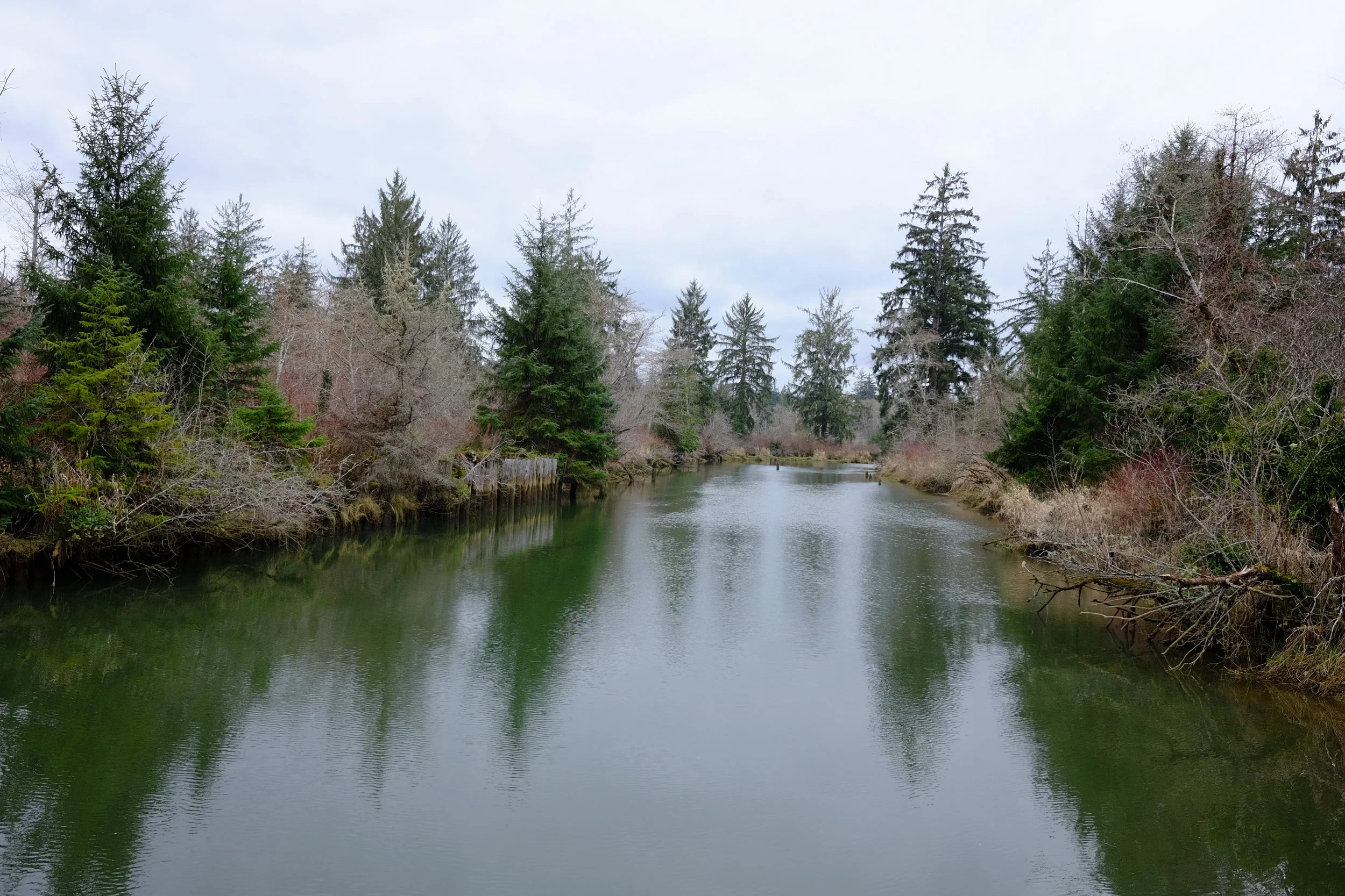 DSCF0218.JPG