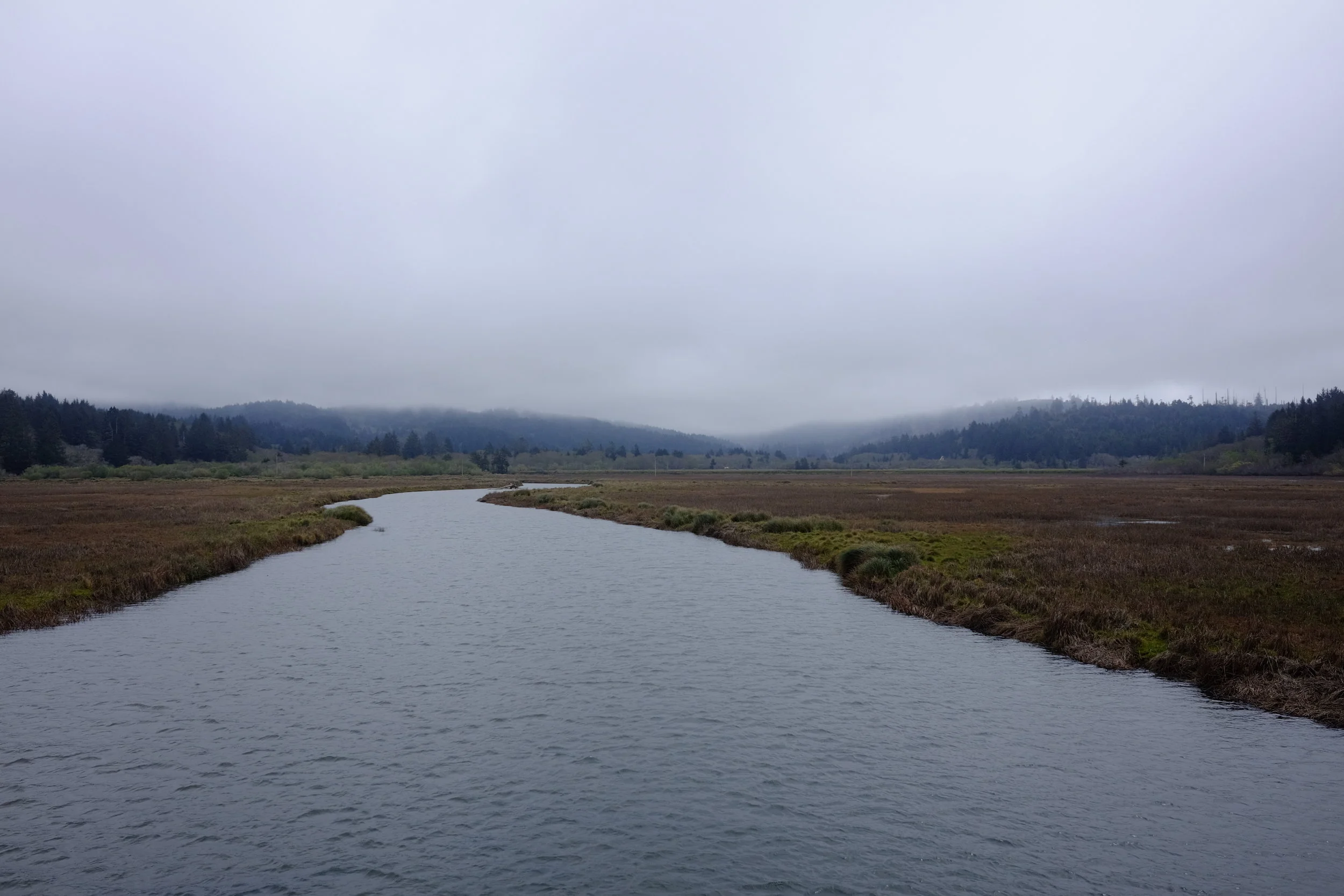 DSCF0320.JPG