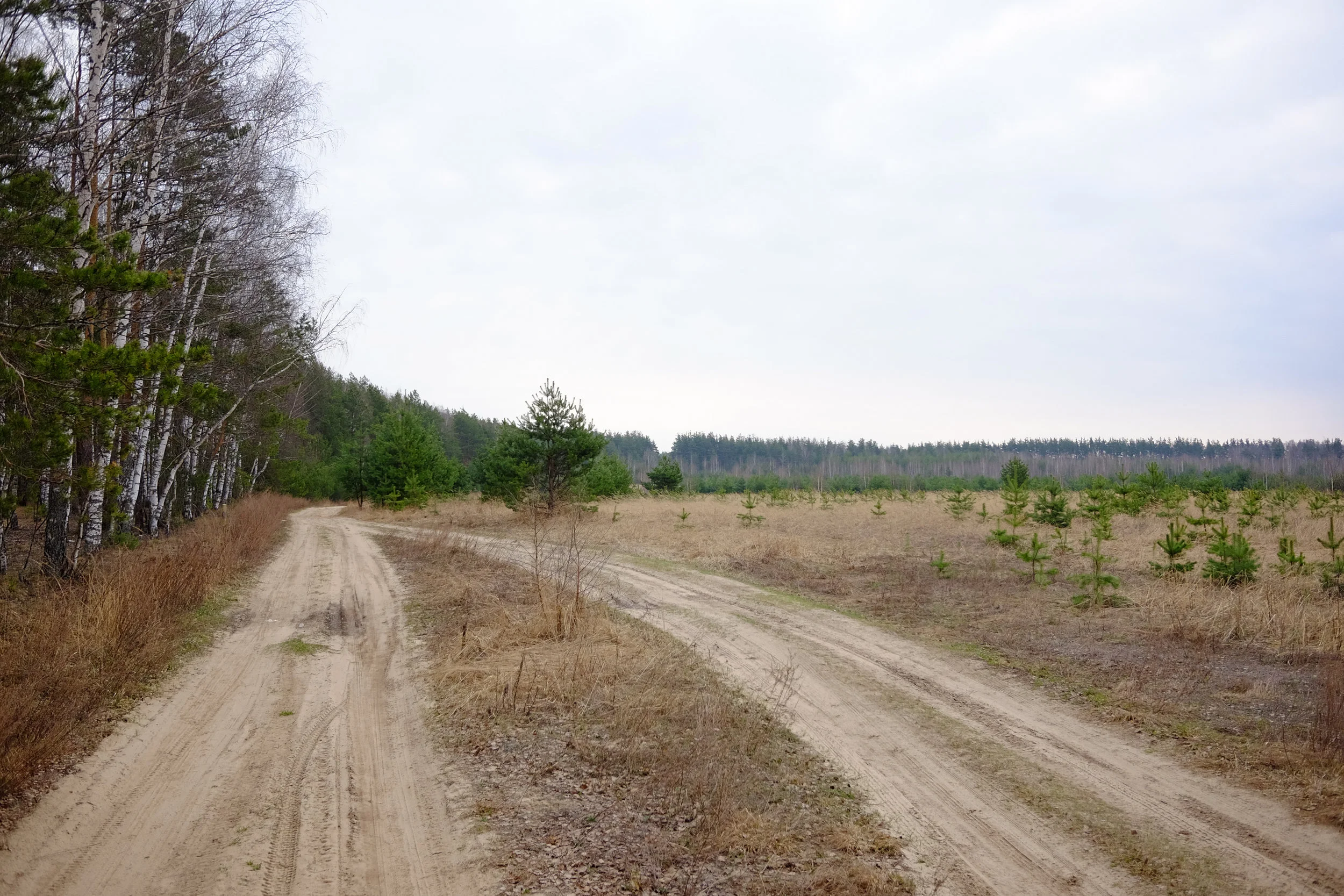 DSCF0458-2.jpg
