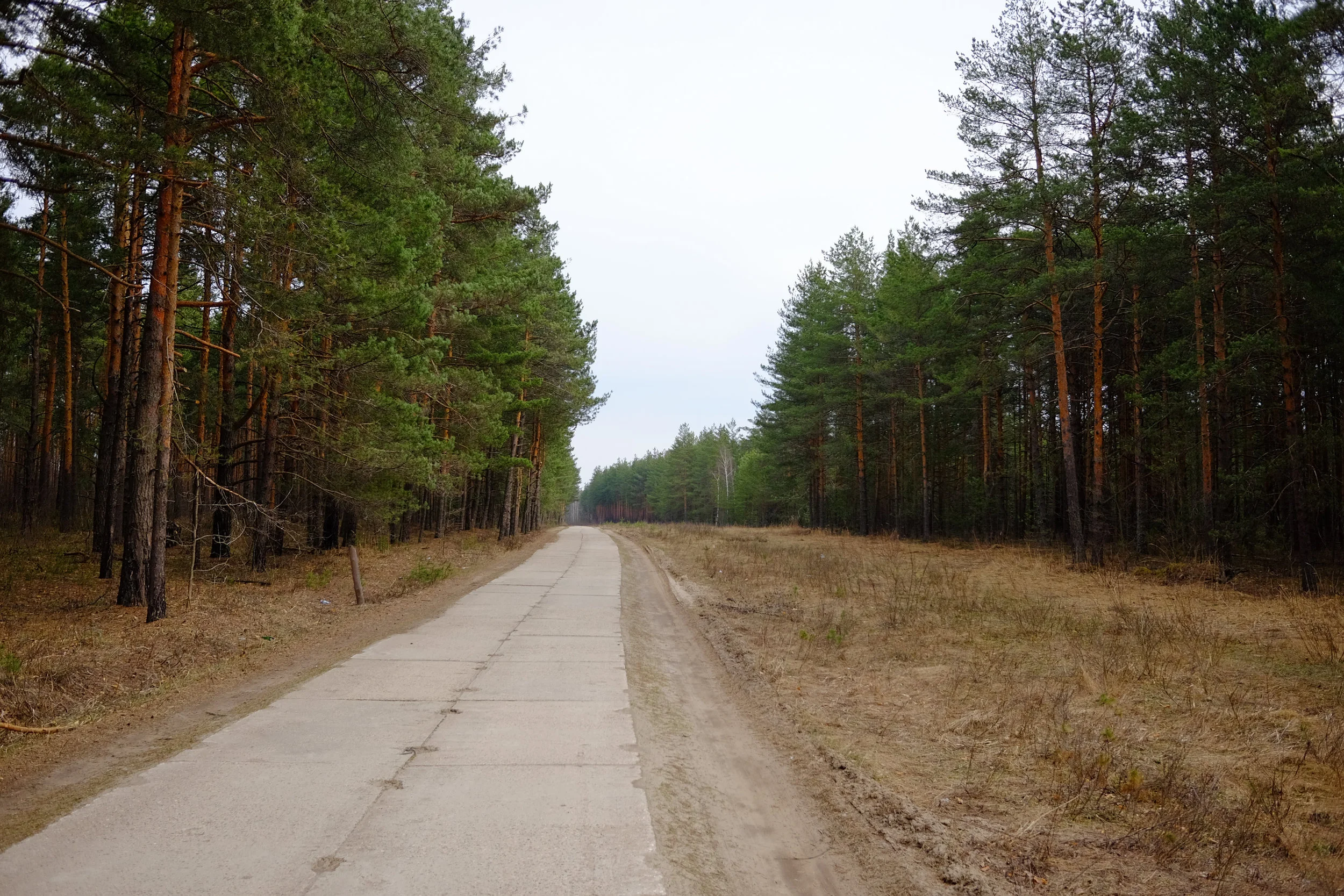 DSCF0480.jpg