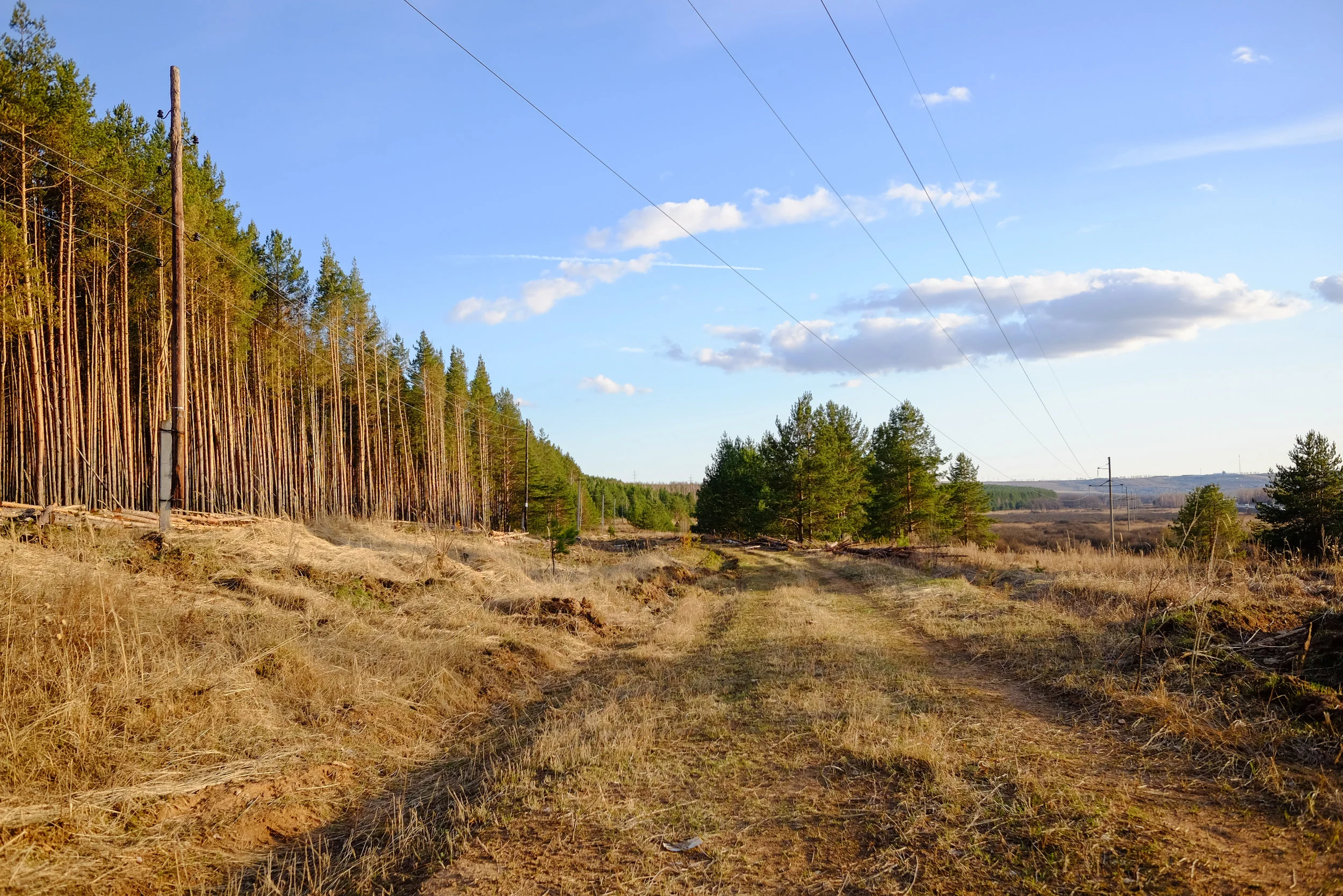DSCF0656.jpg