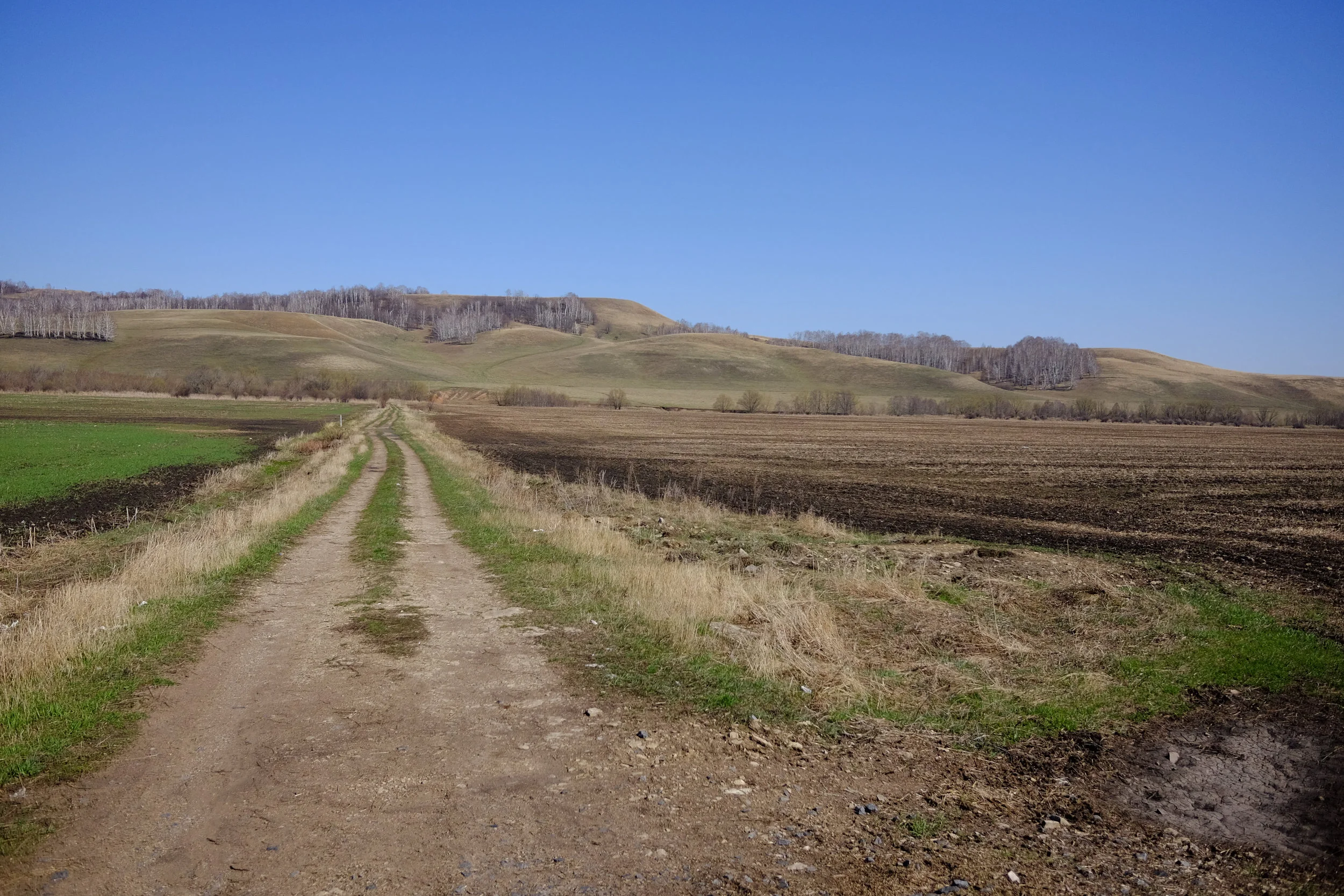 DSCF0743.jpg