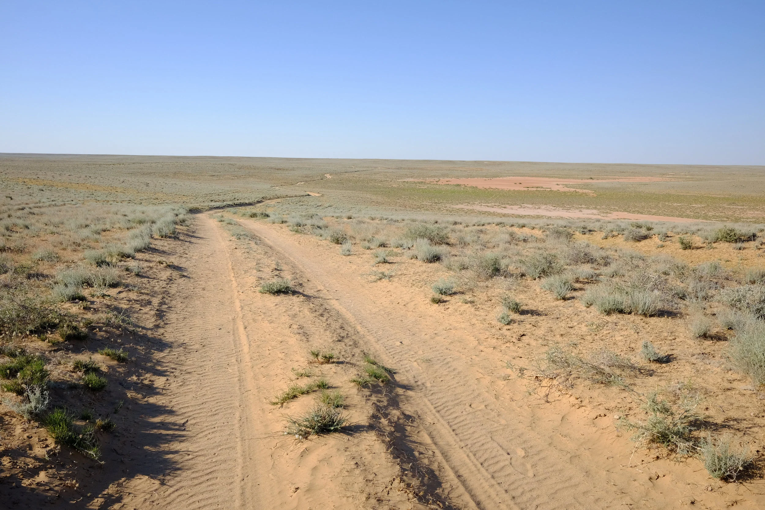DSCF1186.jpg