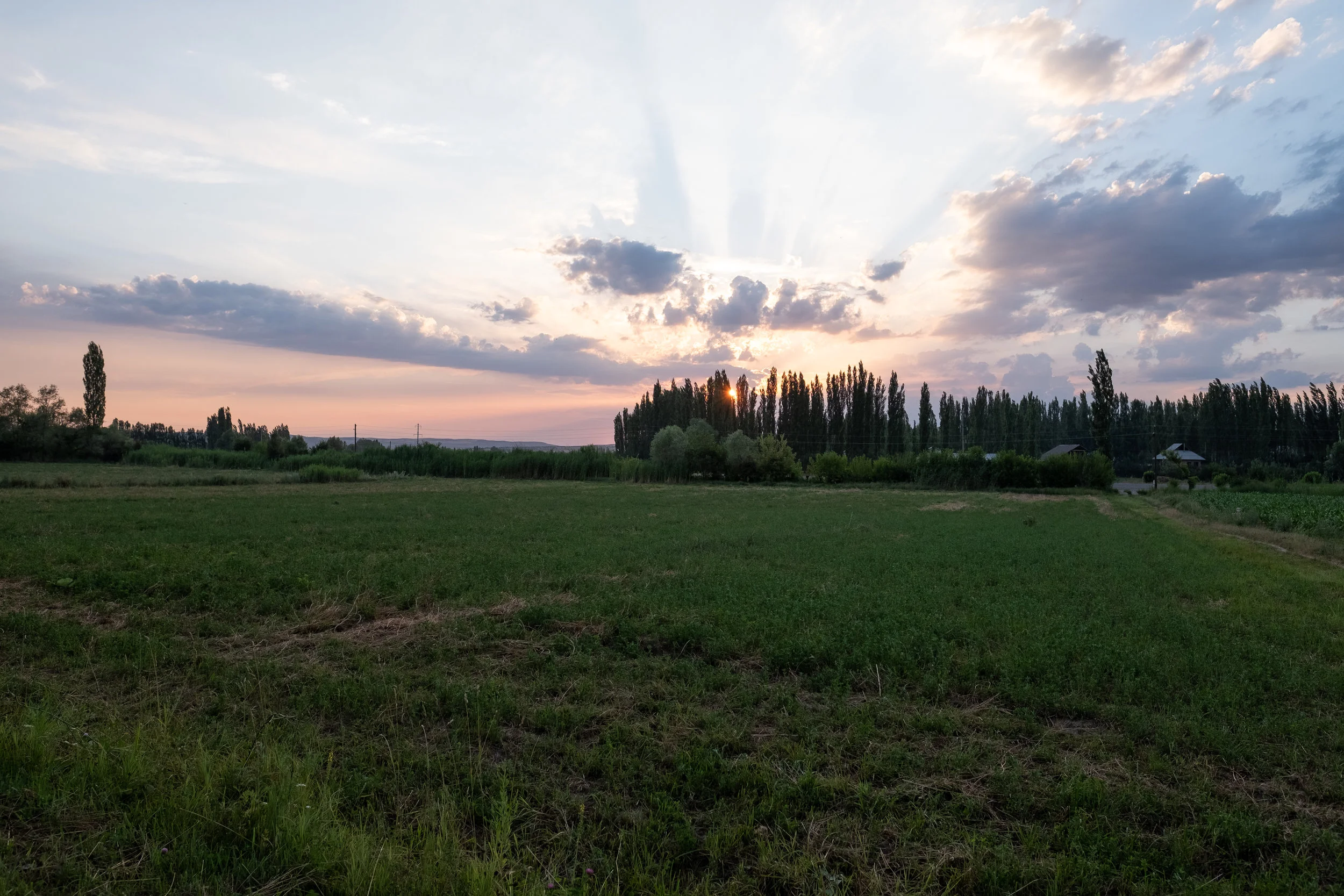 DSCF0636-2.jpg