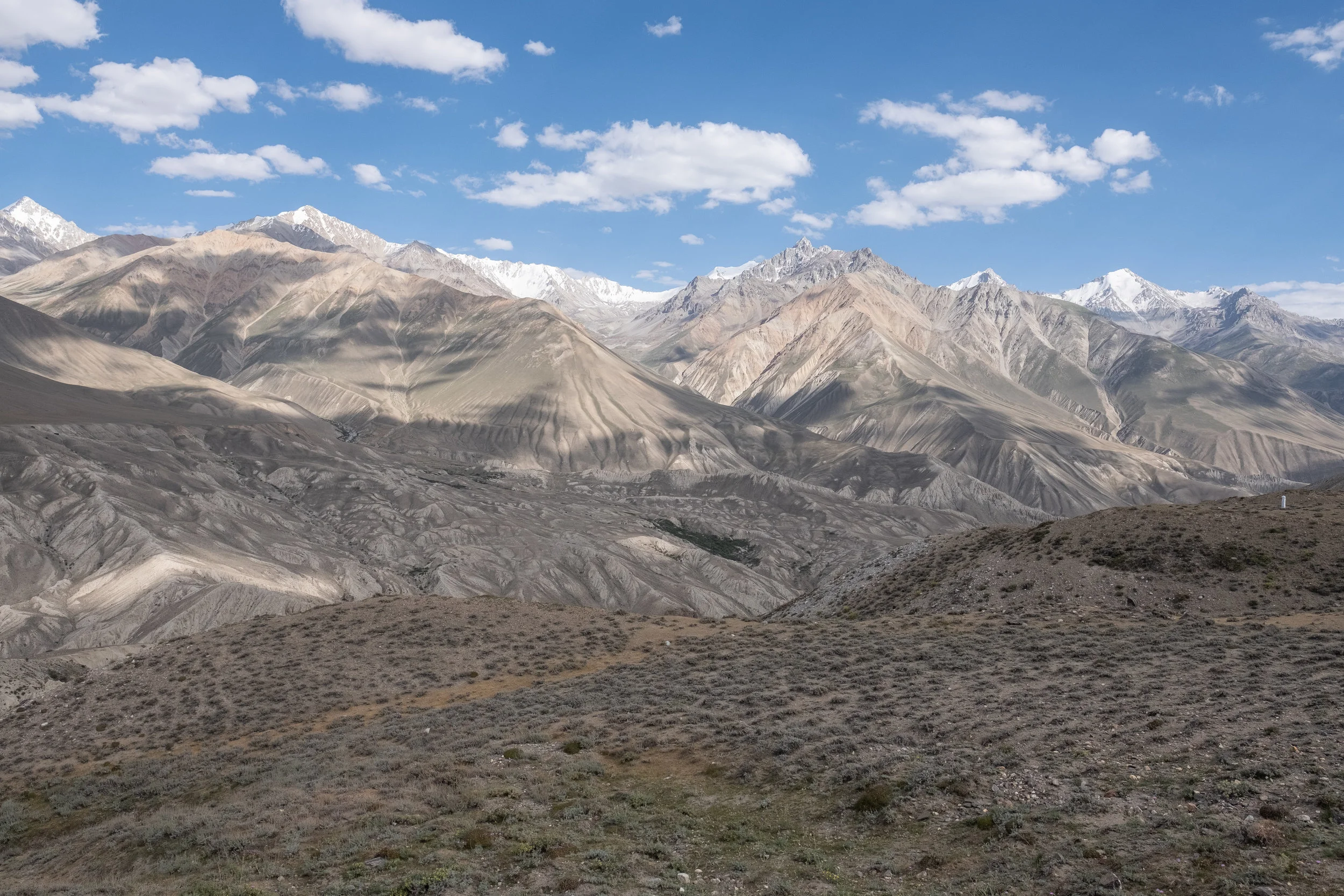 DSCF1443.jpg