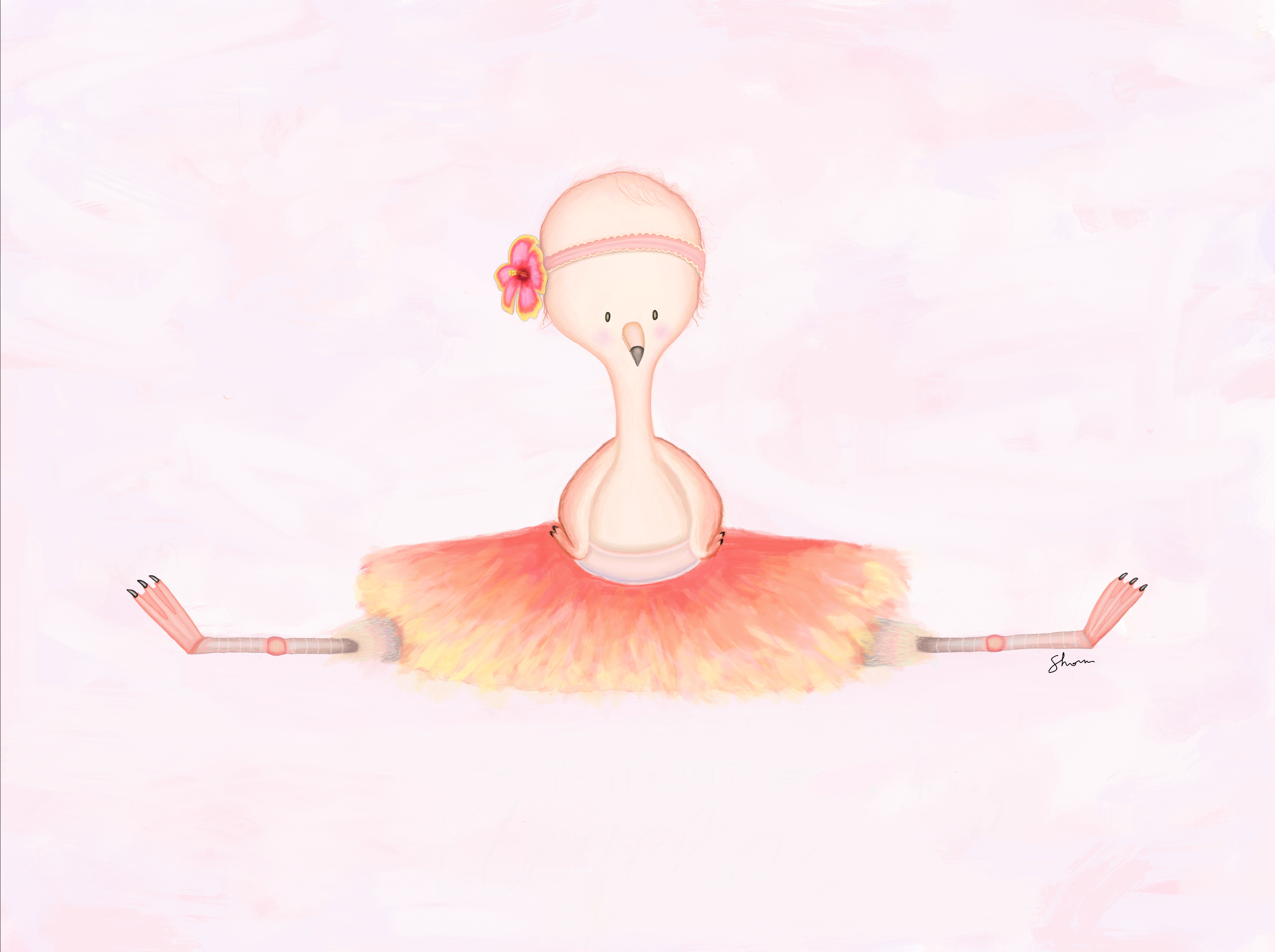 illustrations
