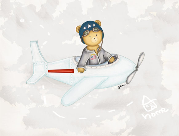 BHA Airplane.png