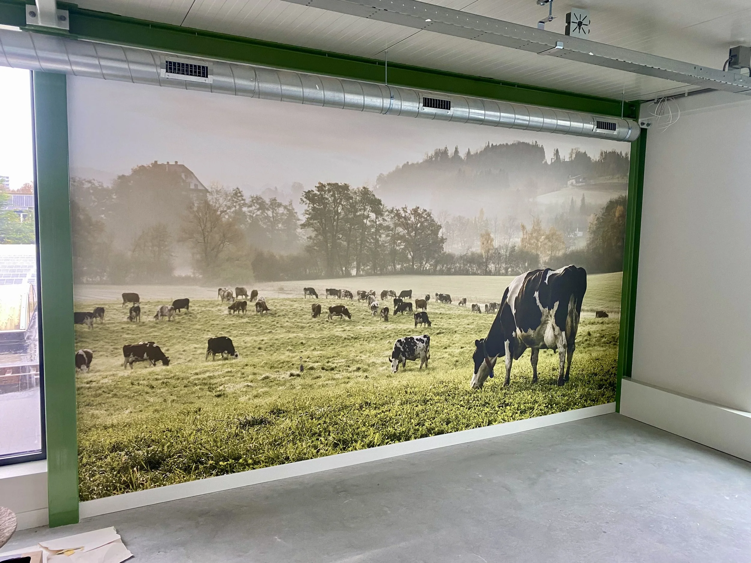 Wandafwerking in bedrijfsruimte van BLOM B.V. in Vijfhuizen