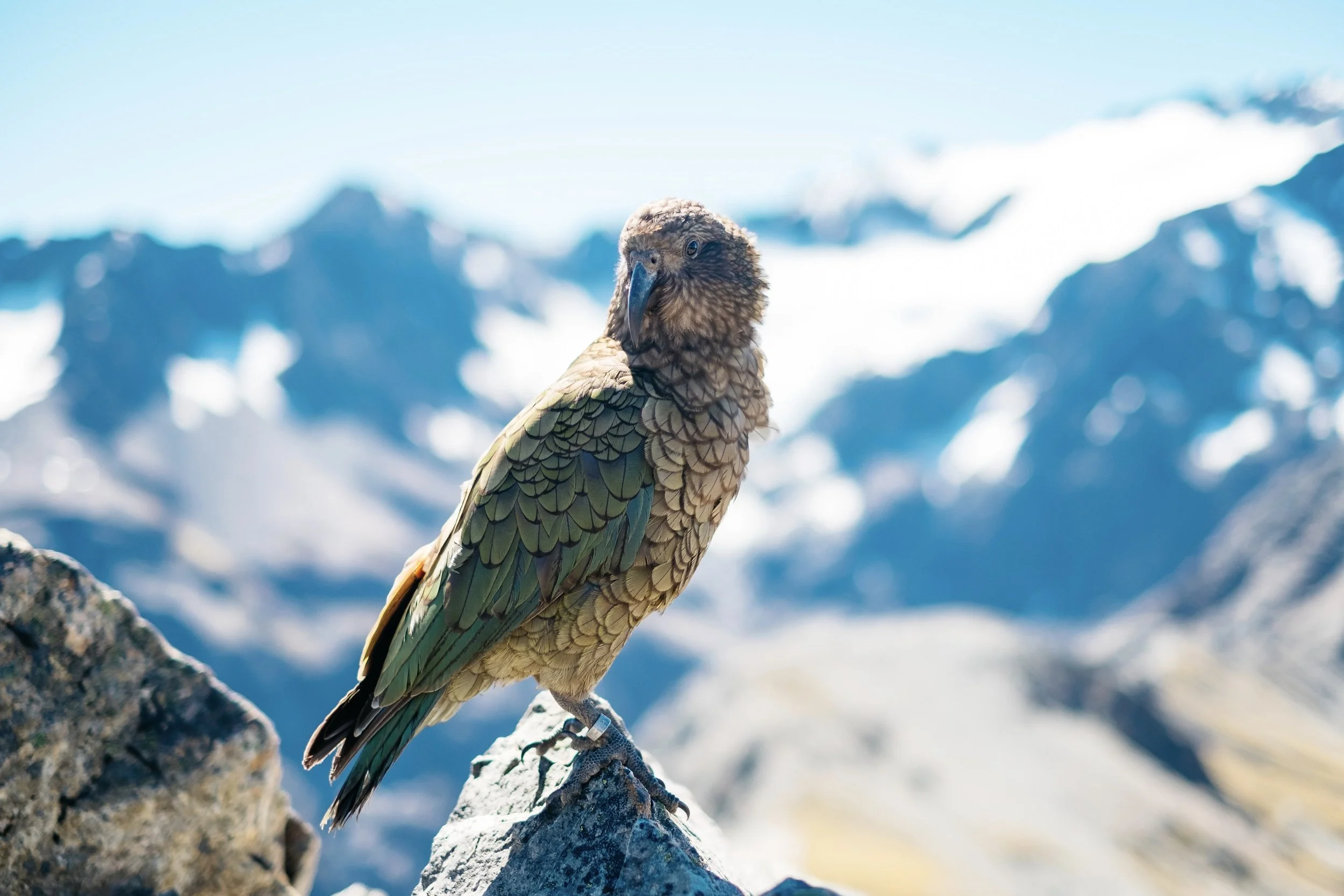 Communications and PR